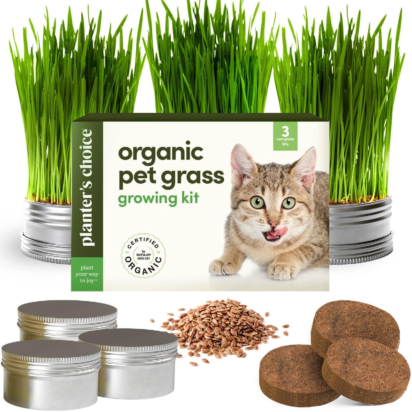 Cat Grass for Indoor Cats Kit - 3 Complete Growing Organic Planter Kits - Grow Your Own Cat Grass - Organic Plant Seeds - Pet Health Supplies Stuff - Gift for Pet Lover