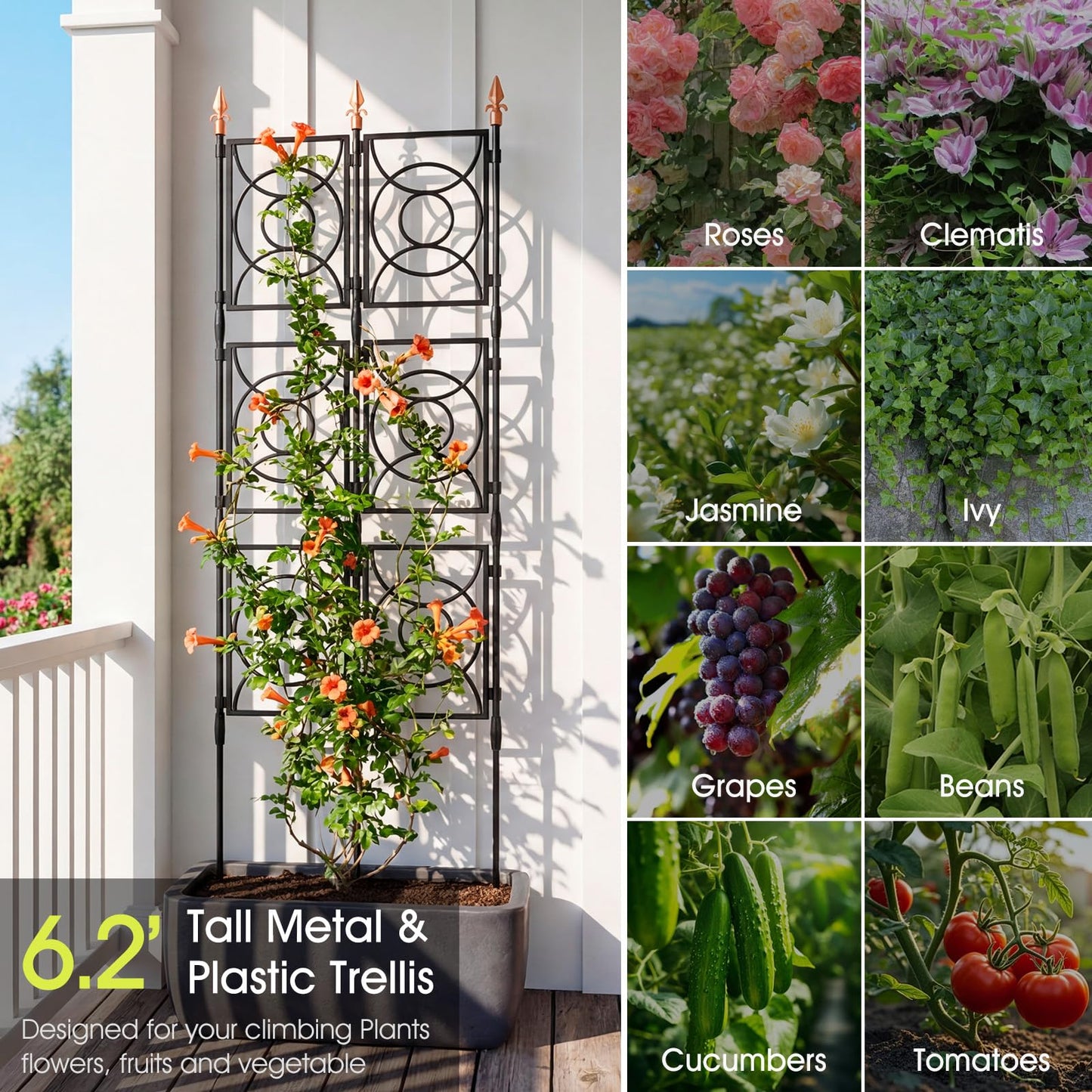 Trellis for Climbing Plants Outdoor, 24 Rifny Tall Garden Trellis Flower Rose Cucumber Trellis for Vines Pea Support, Wall Large Plant Trellis Fence with with Plastic Frame, 3 x 6.2 FT