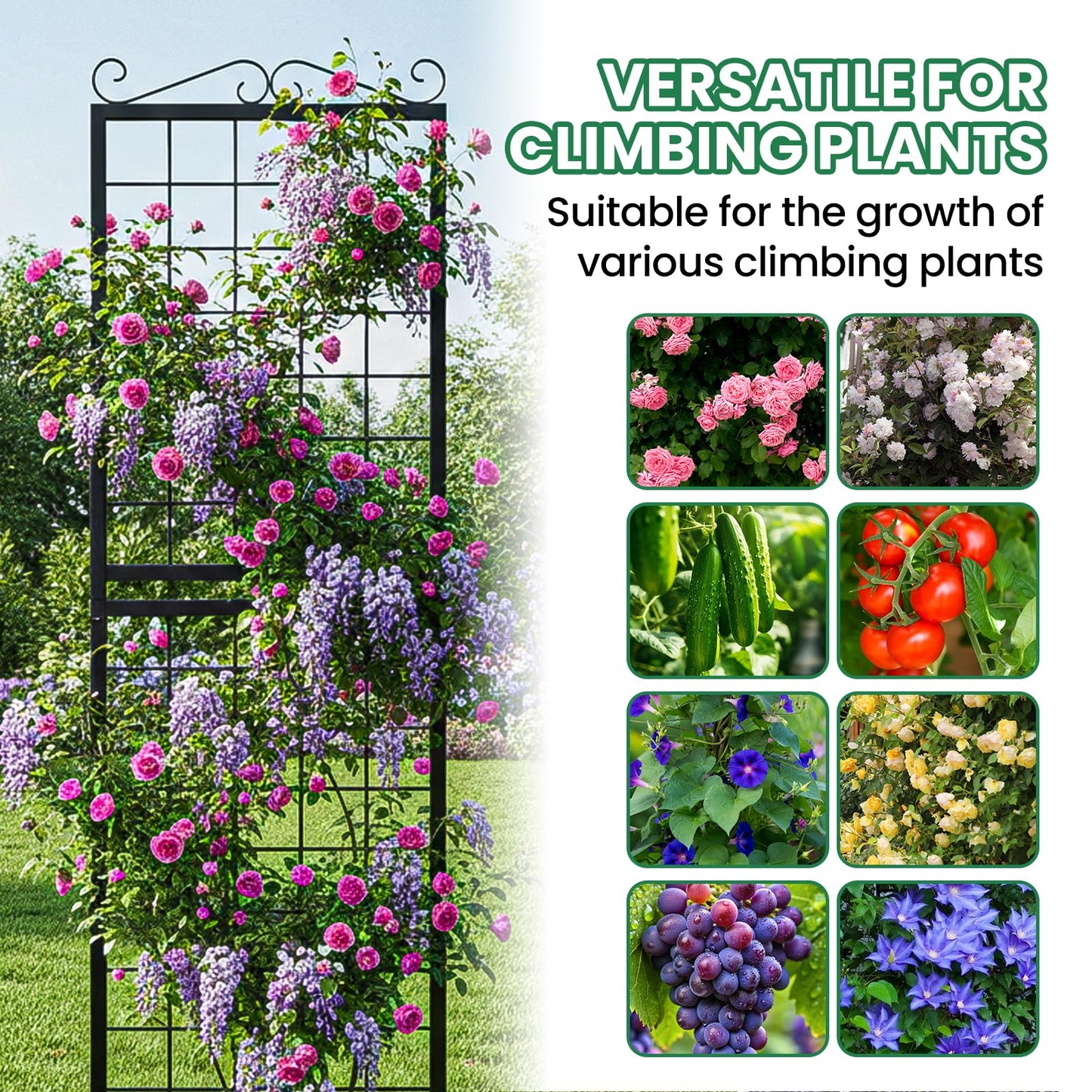SUNYRISY 2Pack Metal Garden Trellis for Climbing Plants Outdoor, 71x20in Metal Plant Support for Flowers Tomato Cucumber Rose Vegetable Garden Courtyards Lawns Decoration, Black