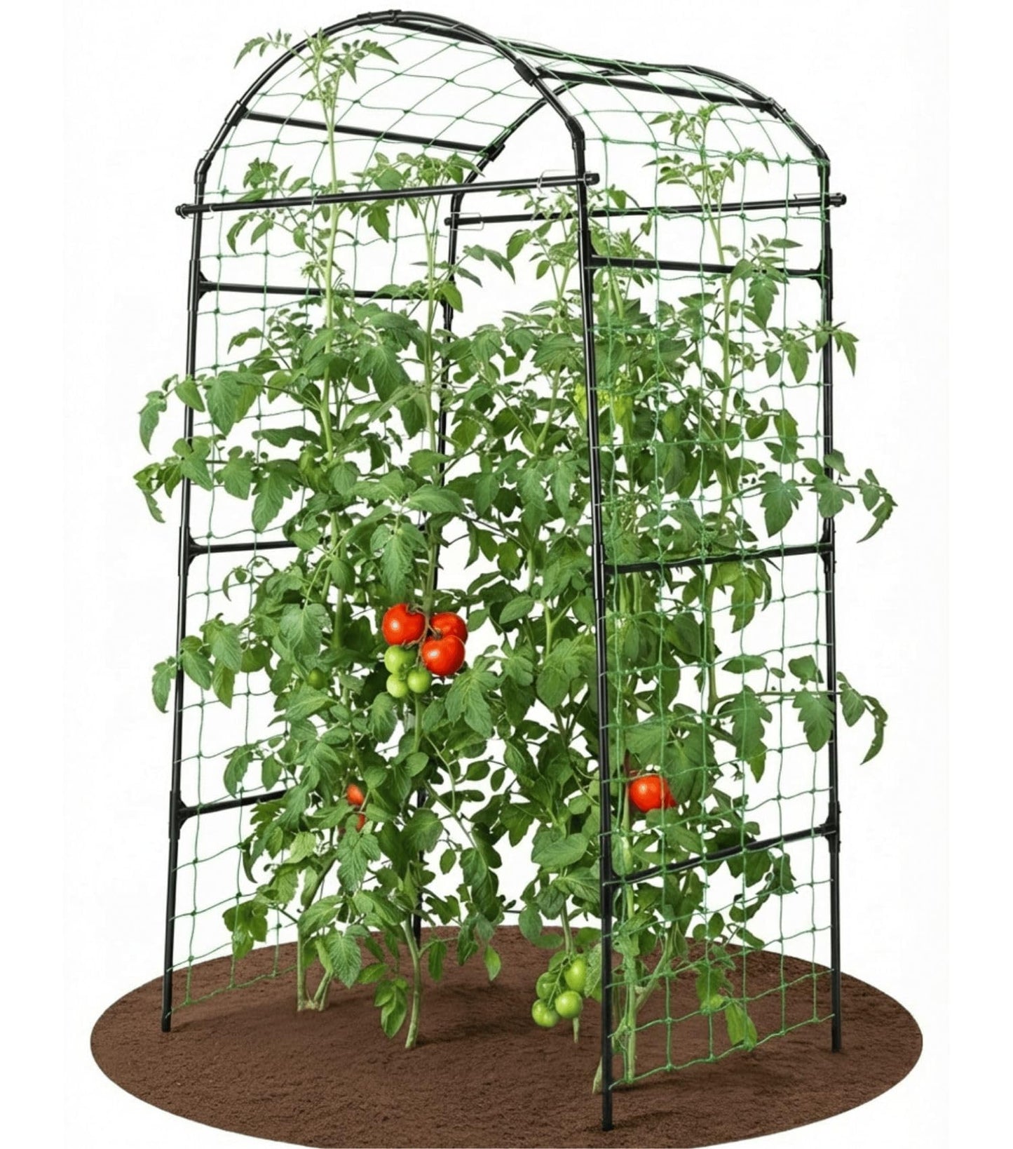 BAXAM 79" Garden Trellis Arch for Climbing Plants – Tall Outdoor Metal Trellis for Vegetables, Peas, Tomatoes,﻿ Cucumber Trellis Arch & Vertical Garden Climber Plant Support for Vine Plants