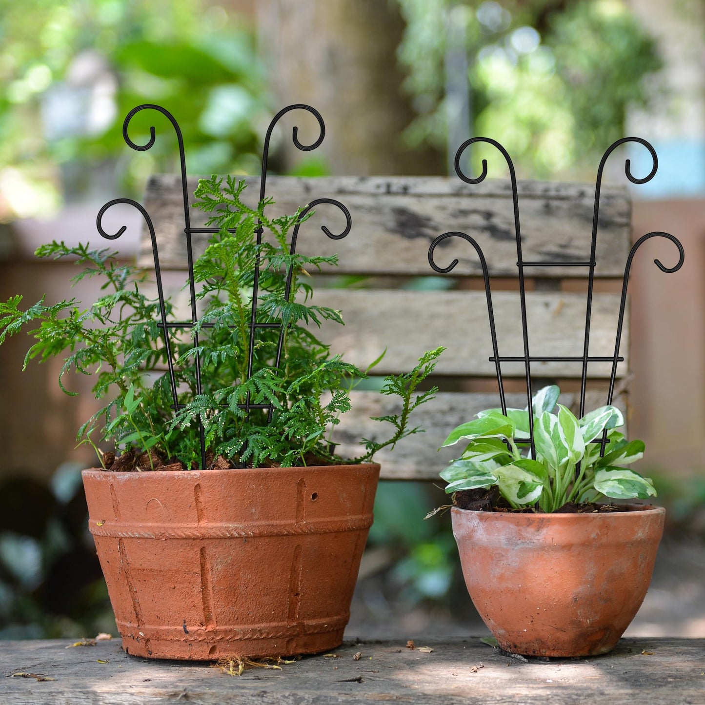 Xeeol 14.17in Trellis for Climbing Plants Indoor, Small Metal Plant Trellis for Potted Plants, Houseplant Trellis Plant Support for Hoya Pothos Vine, Set of 4p, Black