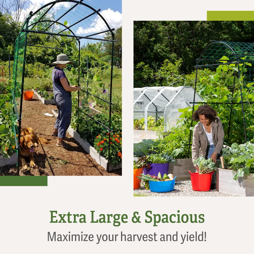 Gardener’s Supply Company Extra Tall Garden Arch Arbor | 80 Inch Tall Titan Squash Tunnel | Lightweight Metal, Trellis Plant Stand for Climbing Vines | Outdoor Lawn Tower & Support Structure