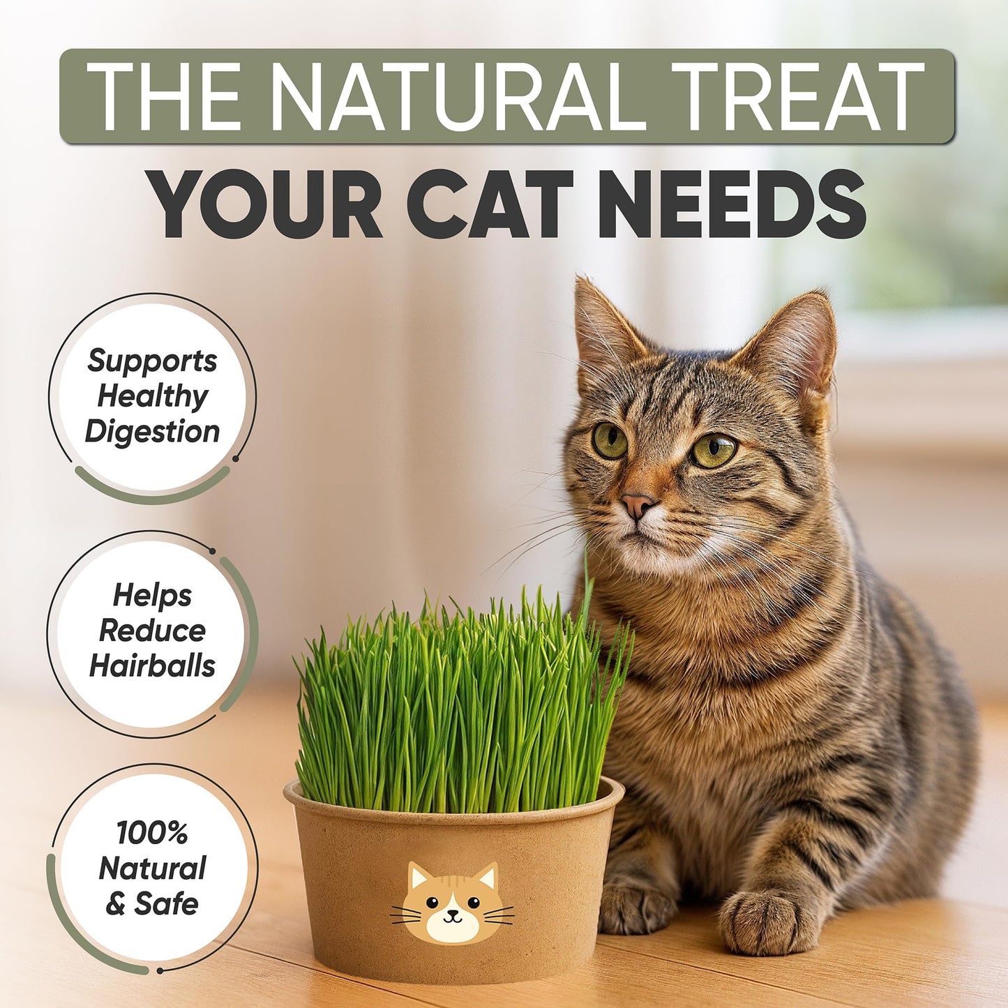 Cat Grass Kit for Indoor Cats – x3 Seed Packets | Cat Grass Seeds with Recyclable Planter & Coconut Coir Expanding Soil Discs – Wheatgrass Grass