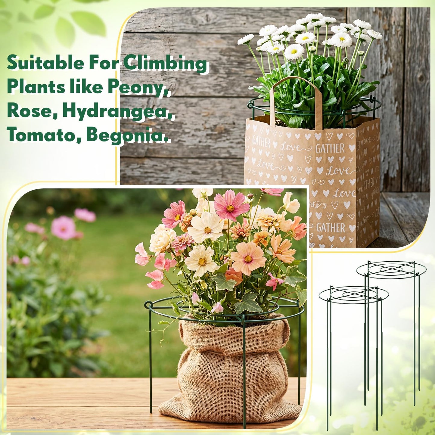 Geelin 6 Pcs Adjustable Peony Cages and Supports, 24 x 12 Inch / 9 x 12 Inch Metal Peony Support Cage, Large Plant Frame Rings for Garden Outdoor Plants Flowers Tomato Vegetables, Height Adjustable