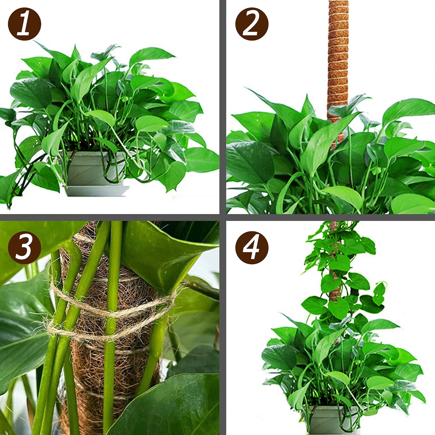 Moss Pole Set, Bendable Moss Pole for Plants Monstera, Tall Moss Poles for Climbing Plants Indoor, Large Handmade Coco Coir Plant Pole Sticks Support Stakes for Potted Plants, Pothos