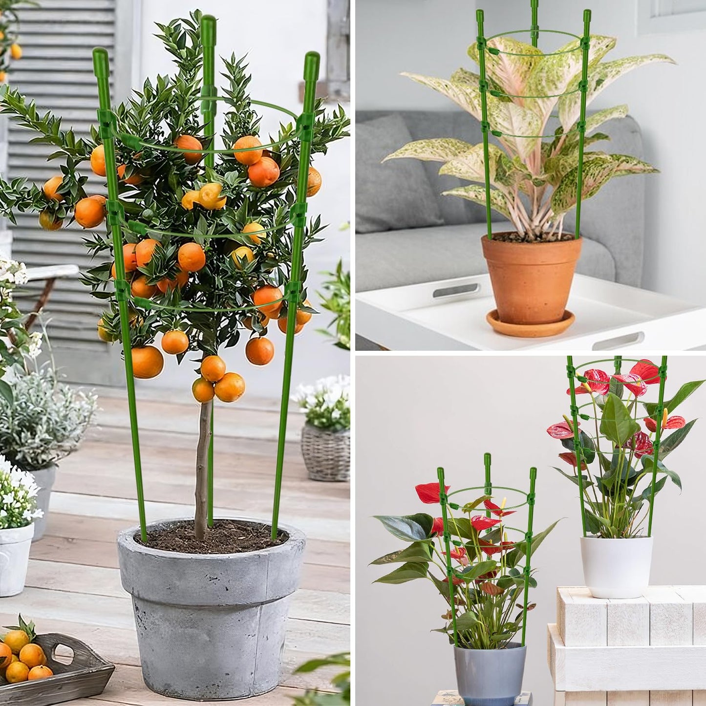 Legigo 3 Pack 30 Inch Plant Support Cages Tomato Cage for Garden- Plant Cages Adjustable Rings, Tomato Plant Support Stakes Trellis for Pots, Peppers, Cucumbers and Flowers with 10 Plant Clips