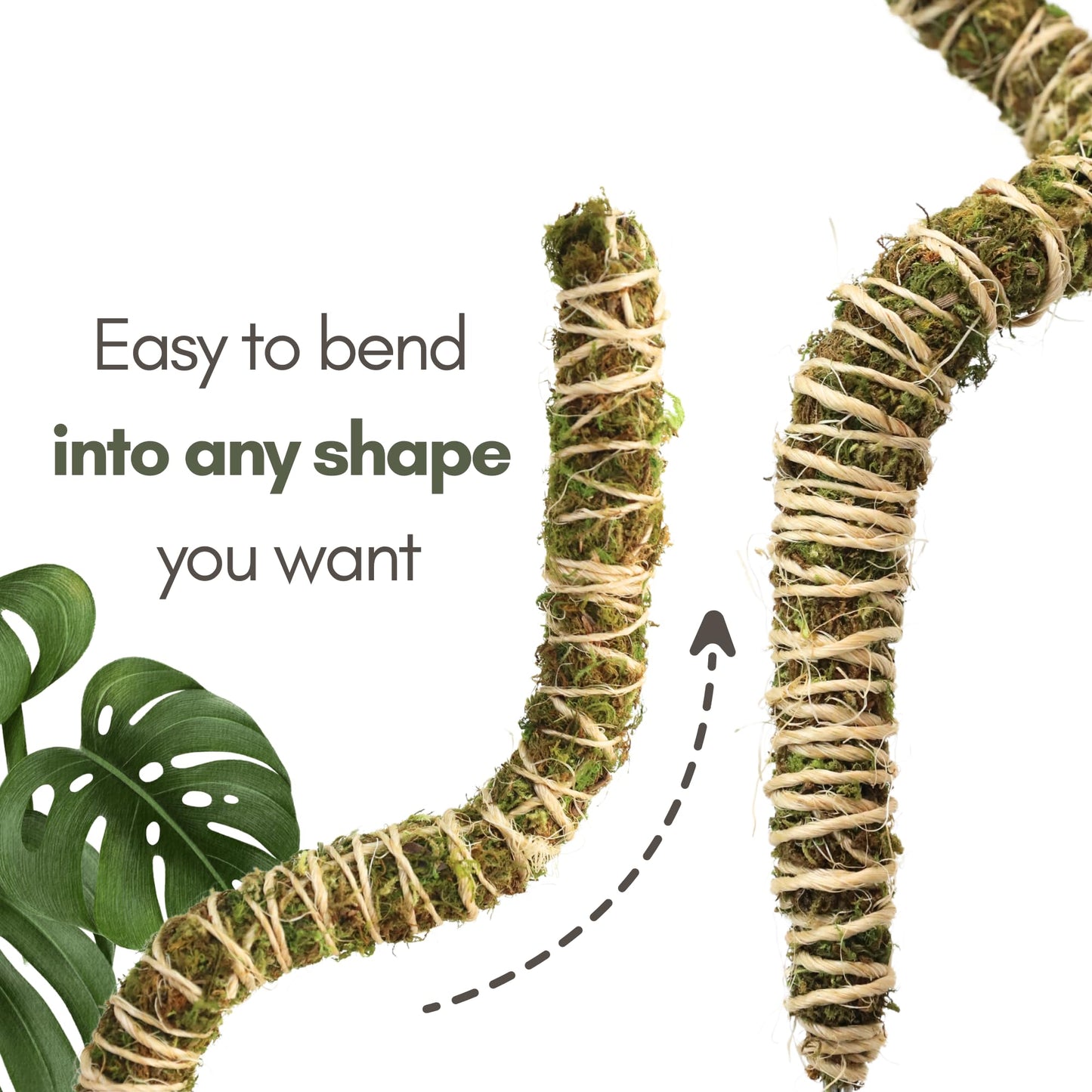 Mossify 42" Bendable Moss Pole Thin 3 Pack (42 Inch)