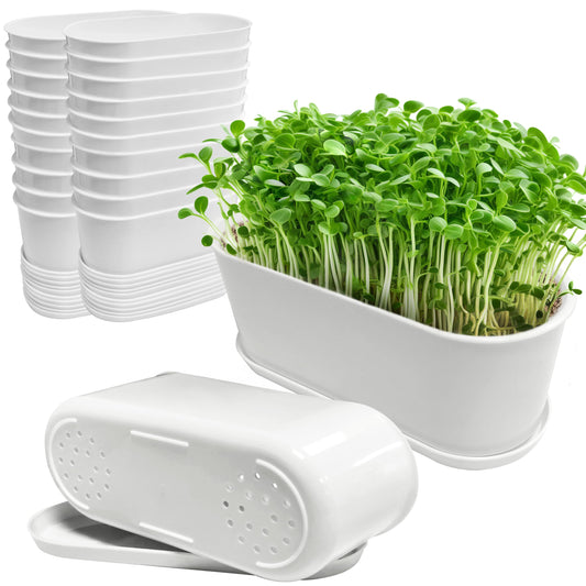 Torfican 20 Set Window Herb Planter Box Rectangular,8.5x3.5 Inch White Plastic Planters with Multiple Drainage Holes and Trays,Indoor Succulent Cactus Mint Flower Pot for Windowsill,Garden Balcony