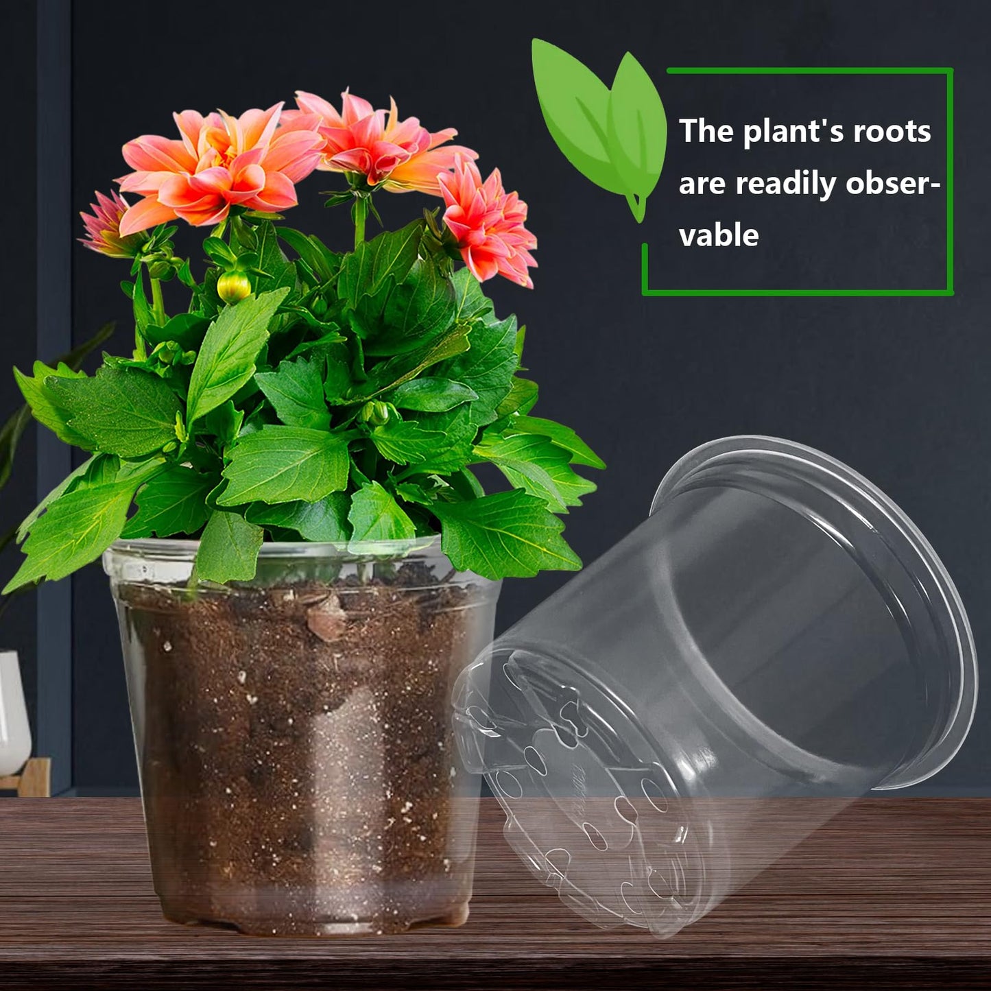 Clear Nursery Pots for Plants, 3.7/5 Inch Plastic Seedling Pots with Drainage Holes – Flexible Transparent Planters for Indoor & Outdoor Gardening, Includes 40 Plant Labels & 2 Transplant Tools