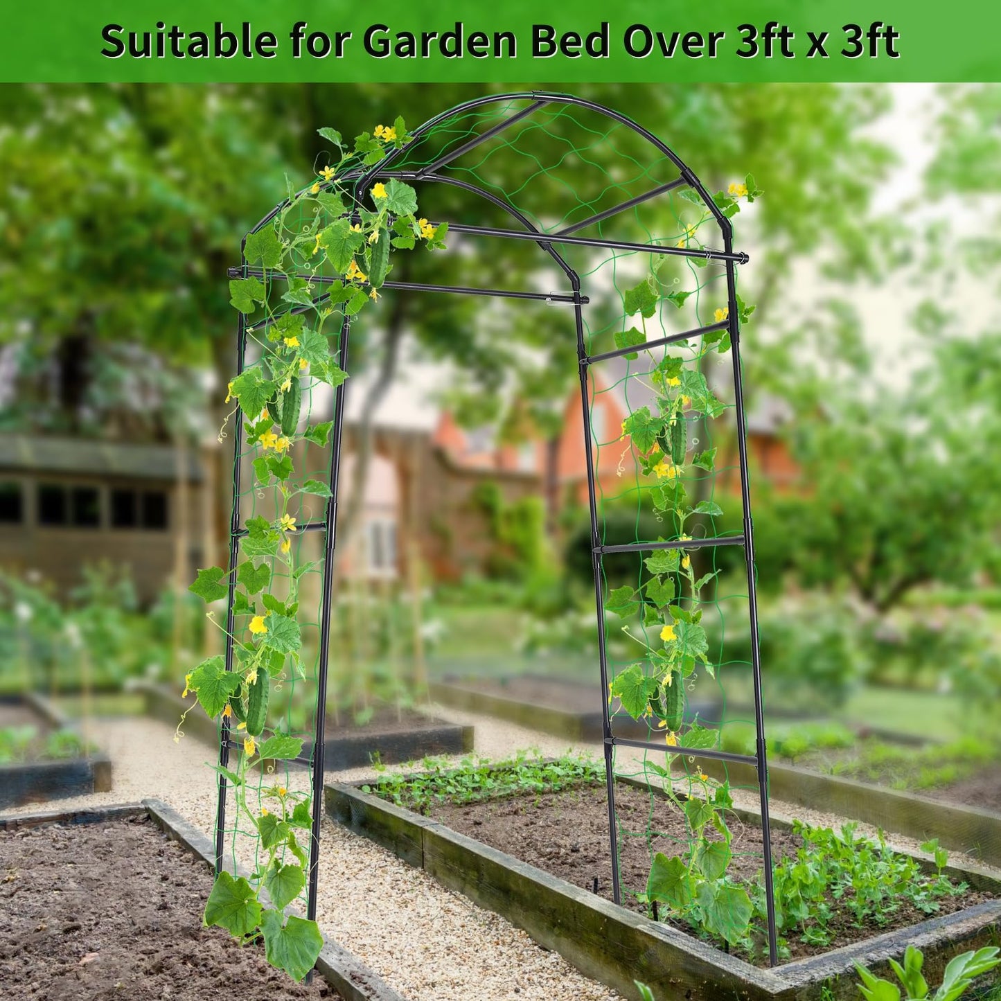 FOLLOOK Cucumber Trellis, 6.7ft Tall Garden Arch Trellis for Climbing Plants Outdoor Arbor Support Vine Vegetable Tomato Bean Pea Grape Squash Pumpkin Cucumber Raised Bed, Lightweight, Black