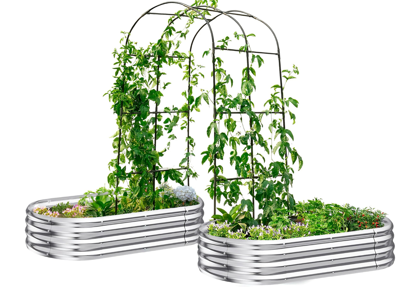 KING BIRD Raised Garden Bed with Arched Trellis Galvanized Planter Garden Box Outdoor for Gardening, Climbing Vegetables, Flowers 5.9x2.95x0.98 Ft 2PCS, Silver