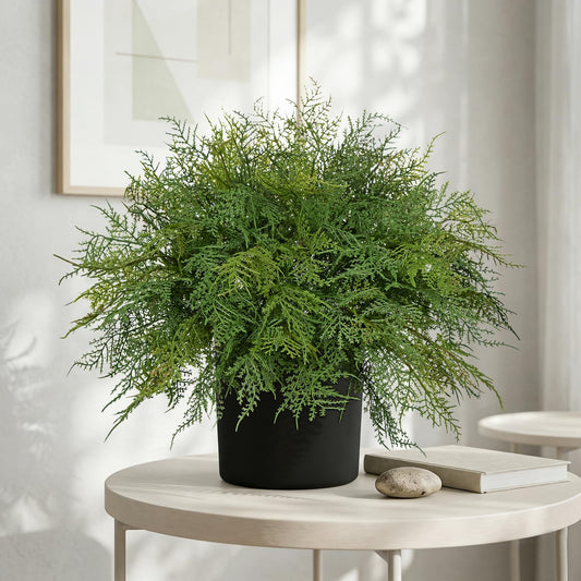 Hollyone 16.9" Artificial Cedar Fern Faux Cedar in Pot Fake Ferns for Outdoors Indoor Large Ferns Faux Potted Plants Greenery Bush for Door Patio Garden Farmhouse Windowsill Office Room Home Decor