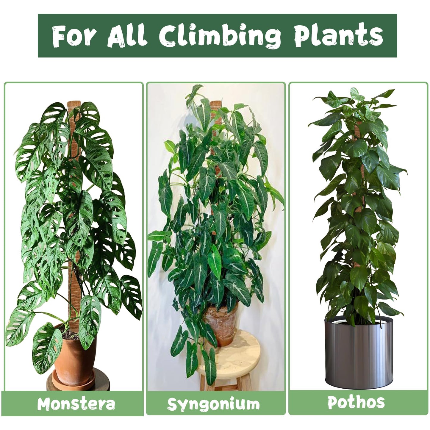 2 Pack 27.56 Inch Bendable Moss Pole for Monstera,70cm Monstera Plant Support Stakes Moss Sticks for Climbing Indoor Plants Pothos Philodendron,Coir/Coco Plant Trellis for Potted Climbers Houseplants