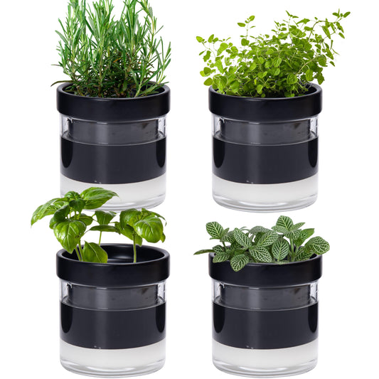 Phoenix Vine 4 Inch Self Watering Planter Pot, Black Terracotta Clay Pot with Glass Reservoir for Indoor Plants, Herbs, Flowers, Set of 4, 52-C-E-4