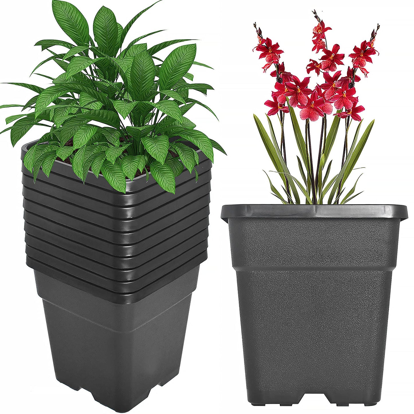 elfinrm Square Planter Nursery Pots 1.36 Gallon Pots for Plants, Injection Molded Plastic Nursery Pots, Plant Container 1.36 Gal 10-Pack