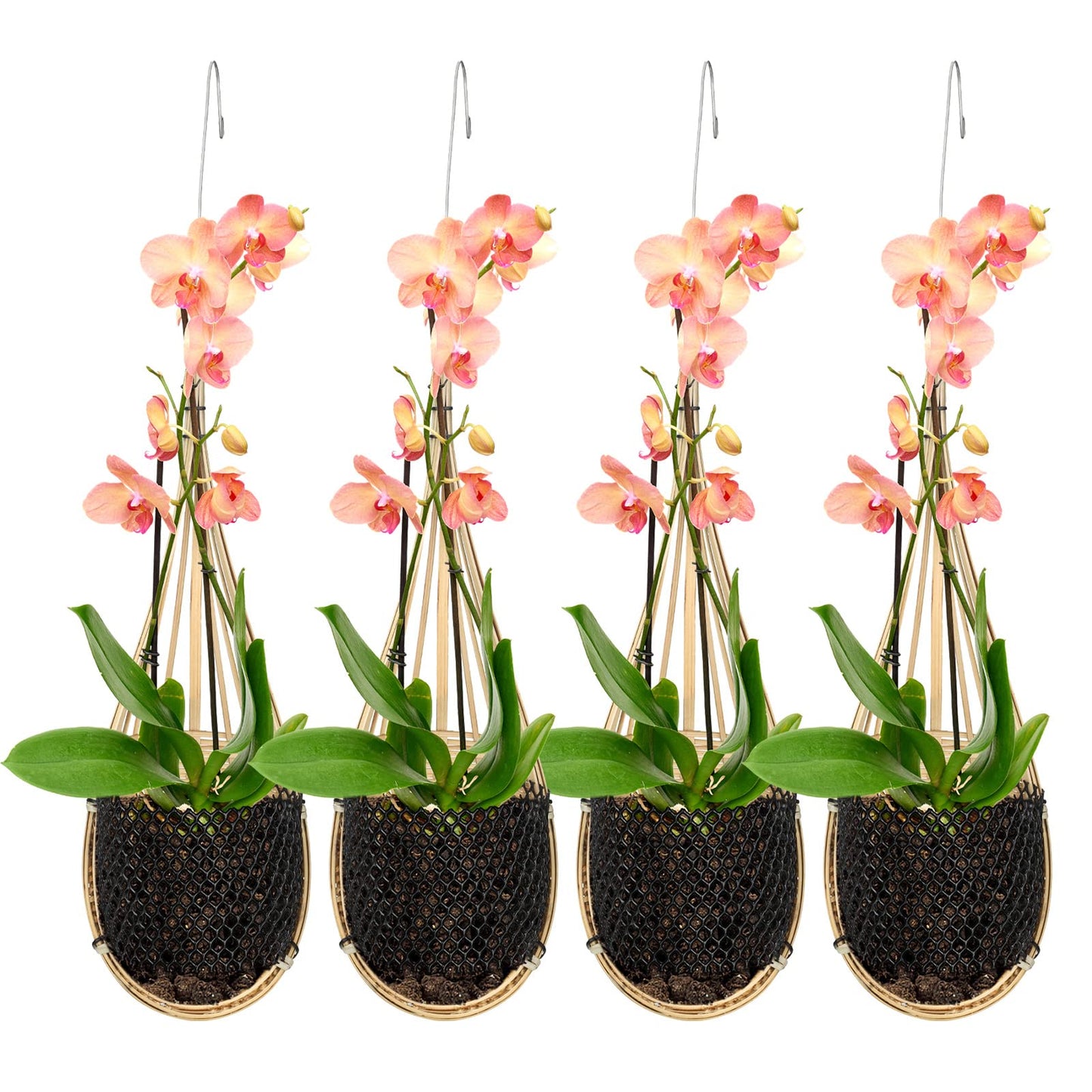 Yookeer 4 Pack Orchid Hanging Basket, 4 Inch Handmade Thai Bamboo Woven Hanging Planter Pot with Adjustable Metal Hook, Breathable Bird Nest Style Gift Basket for Orchids, Indoor Summer Decoration