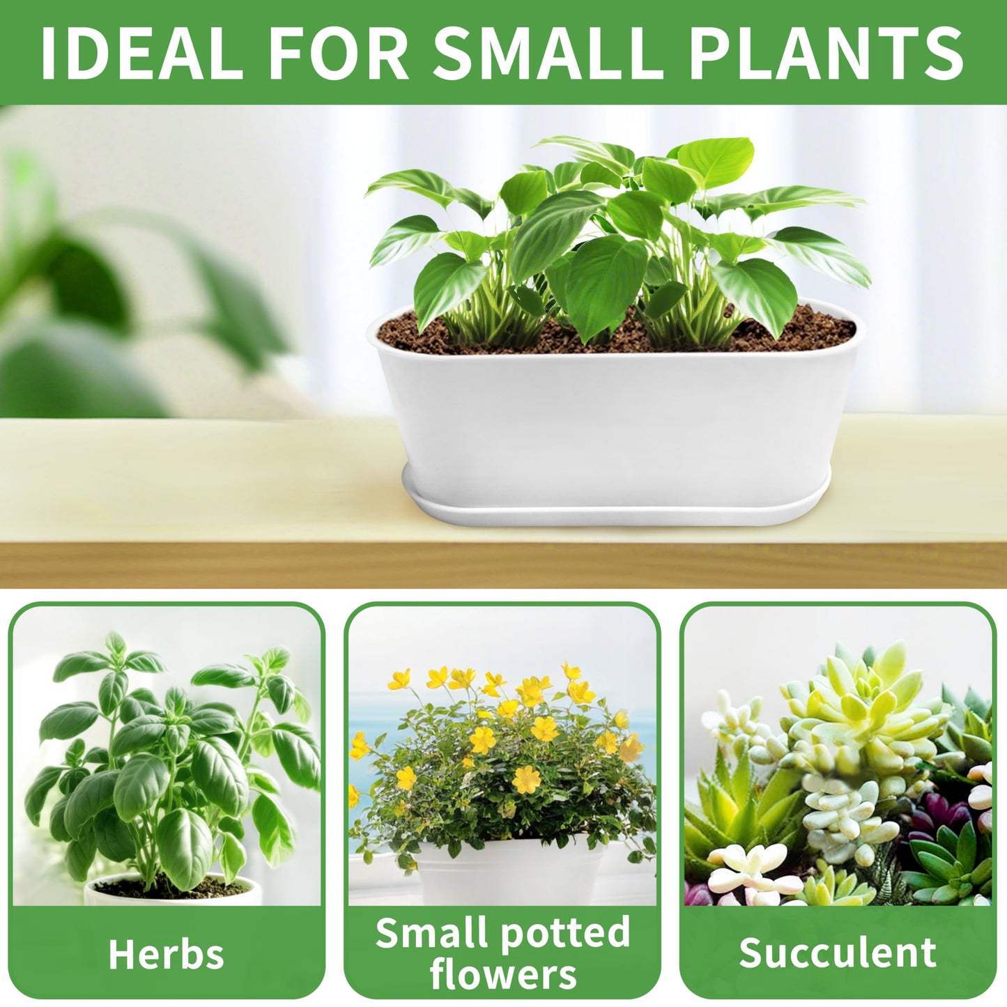 Torfican 20 Set Window Herb Planter Box Rectangular,8.5x3.5 Inch White Plastic Planters with Multiple Drainage Holes and Trays,Indoor Succulent Cactus Mint Flower Pot for Windowsill,Garden Balcony