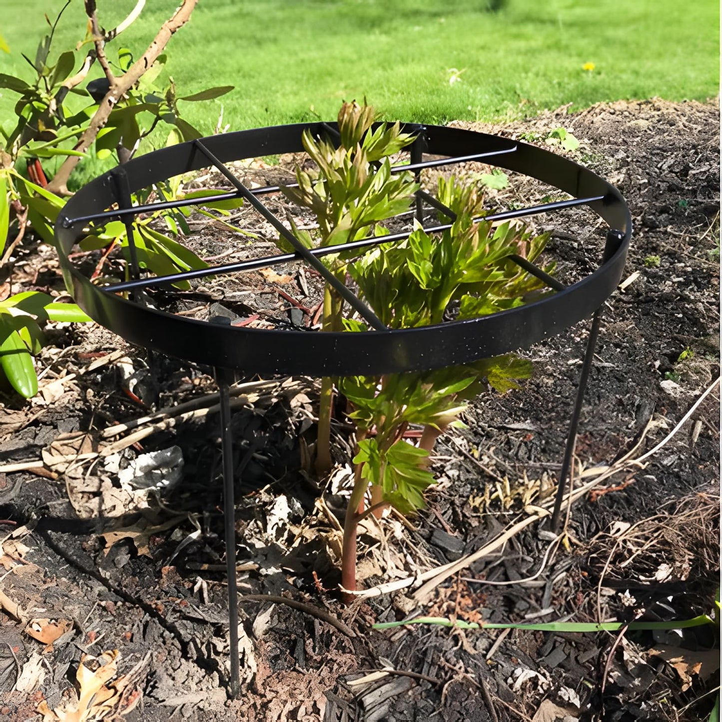GOOOXIM Large Peony Cages and Supports 18.9"x23.6" - Durable Round Garden Flower Rings | Tall Plant Support Stakes for Outdoor Peonies | Enhances Peony Planting Success with Secure Grounding