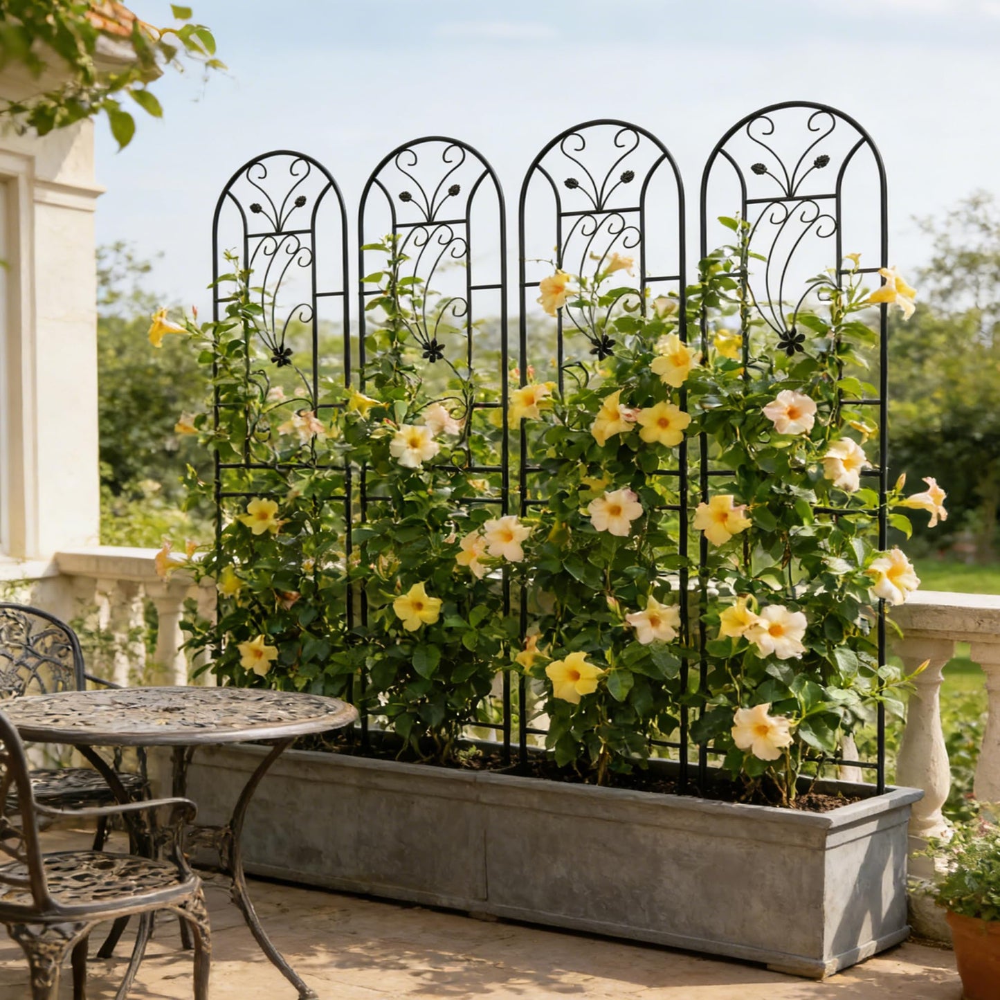 4 Pack Metal Garden Trellis 86.7"x19.7" – Rustproof Trellis for Climbing Plants Outdoor, Peacock Style Flower Support for Roses Ivy Vines, Black