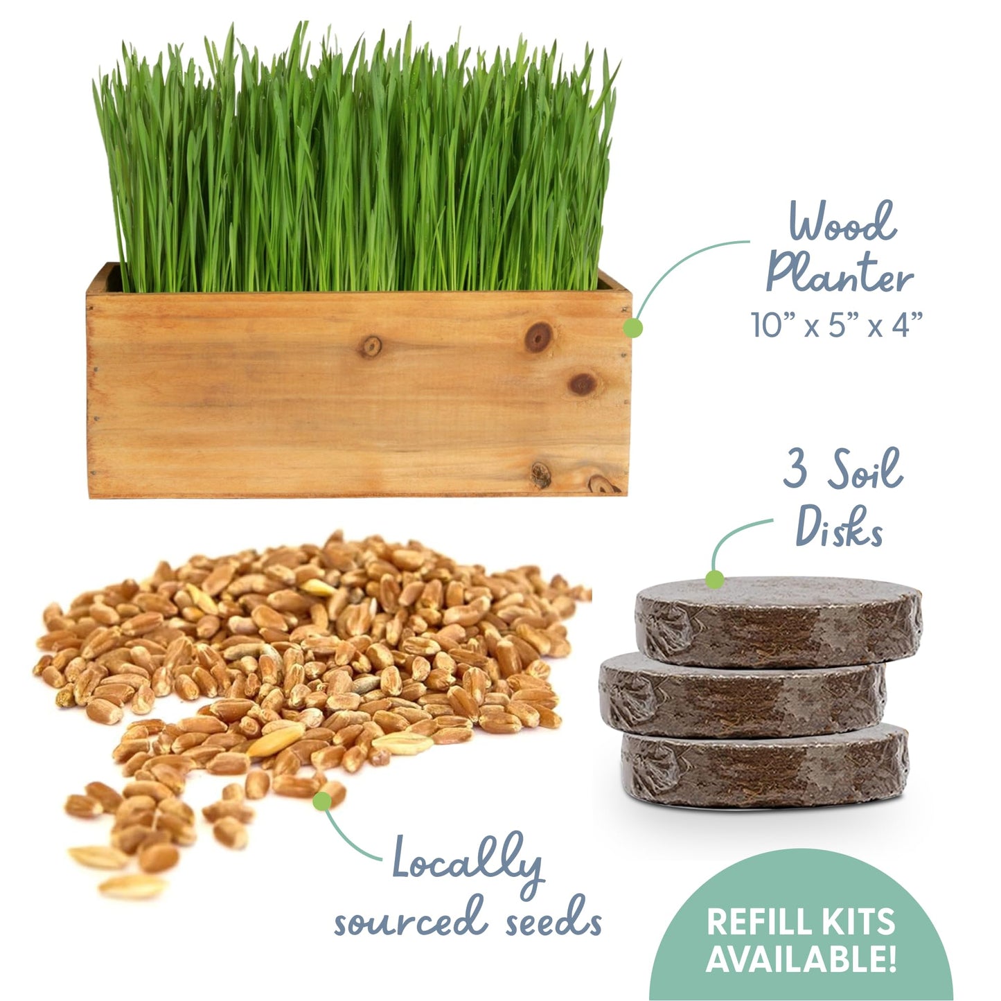 The Cat Ladies Cat Grass Kit with Rustic Wood Planter, Seed and Soil. Easy to Grow for Indoor or Outdoor Cats, Dogs and Other Pets. Prevent Hairballs and Aid Digestion