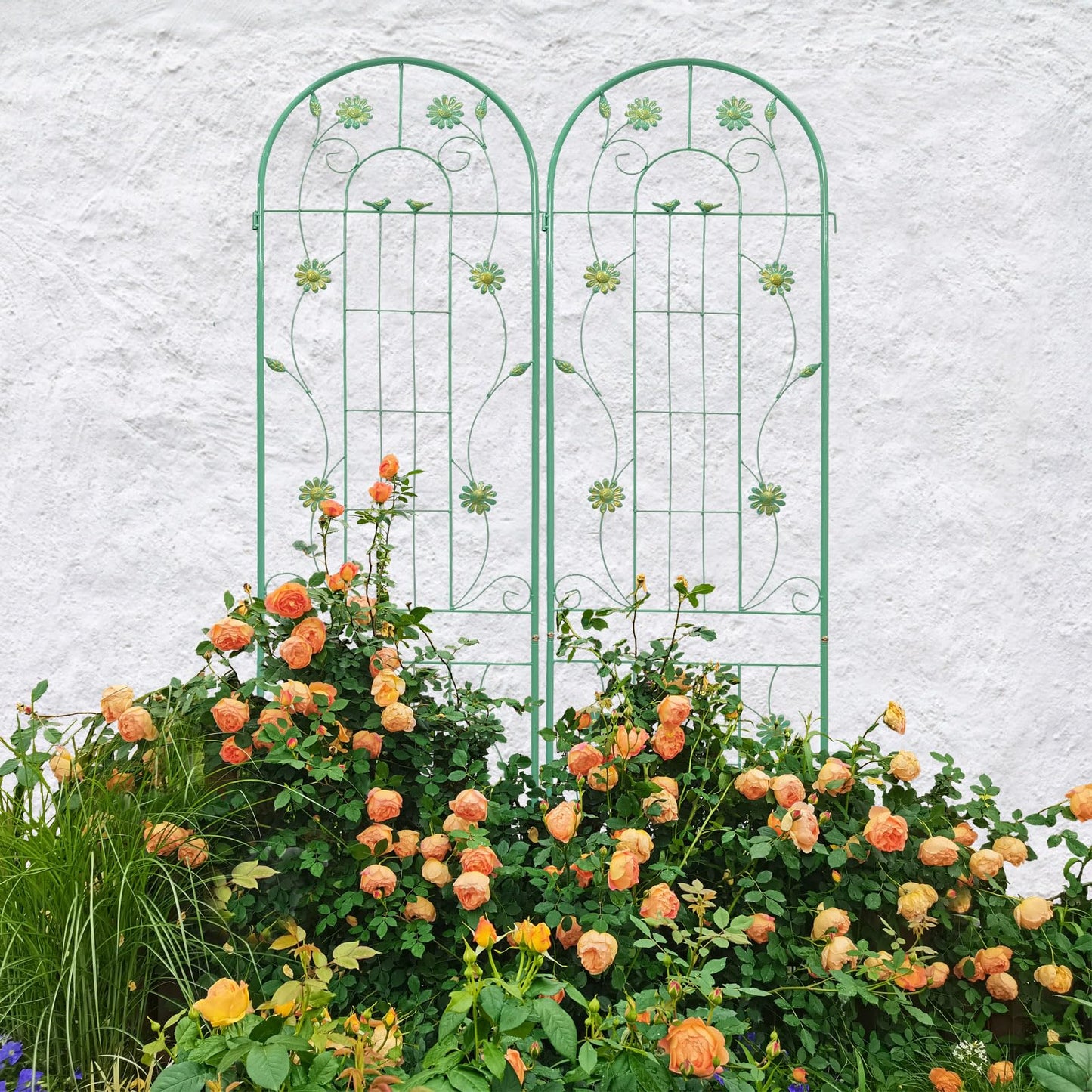 Elegant Metal Garden Trellis for Climbing Plants, Rustproof Outdoor Flower Support, Metal Galvanized Tube with Powder Coating, Decorative Trellis for Ivy,Rose,Clematis,Jasmine,Grape (Green,2)
