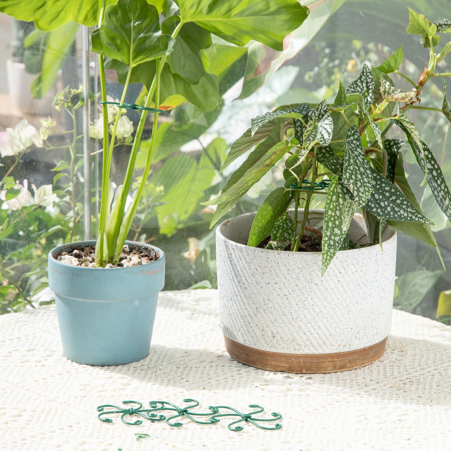 Yohsnor Monstera Plant Stem Support - Set of 5 Sturdy Indoor Support Sticks for Monstera & Climbing Plants - Essential Growth Stabilizers for Leaf Support - Easy-to-Use Gardening Accessories