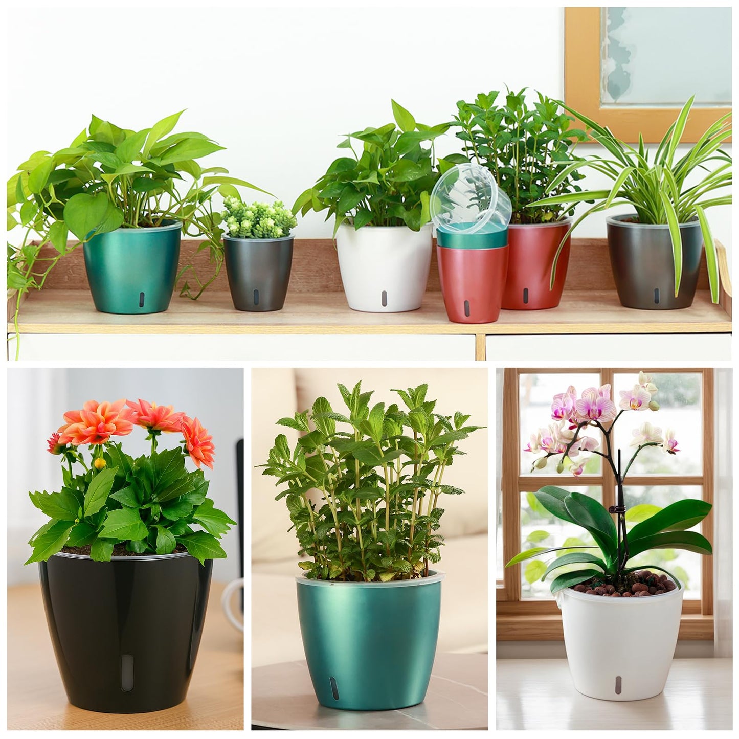 KvyusFlourish Self Watering Pots for Indoor Plants, 6-Pack 6.7'' Self Watering Planter with Drainage Holes, Small African Violet Pots with Water Indicator, Clear Wick Orchid Pot, Grey