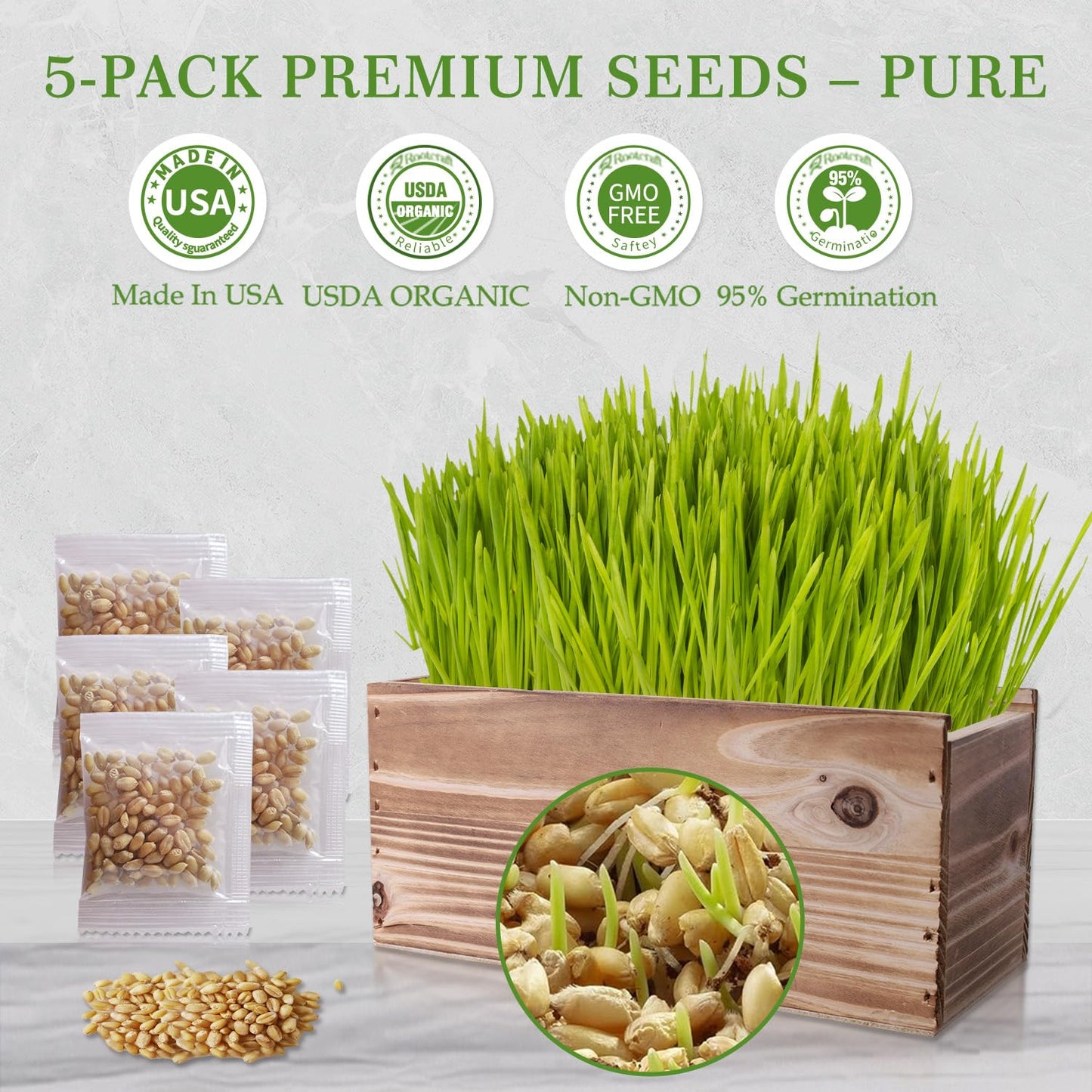 Cat Grass Kit for Indoor Cats, x5 Seed Packs, Complete with Exquisite Wood Planter Soil & Mini Gardening Tools, Good for Pet, Prevents Hairballs, Aids Digestion, Special Gifts for Cat Lovers