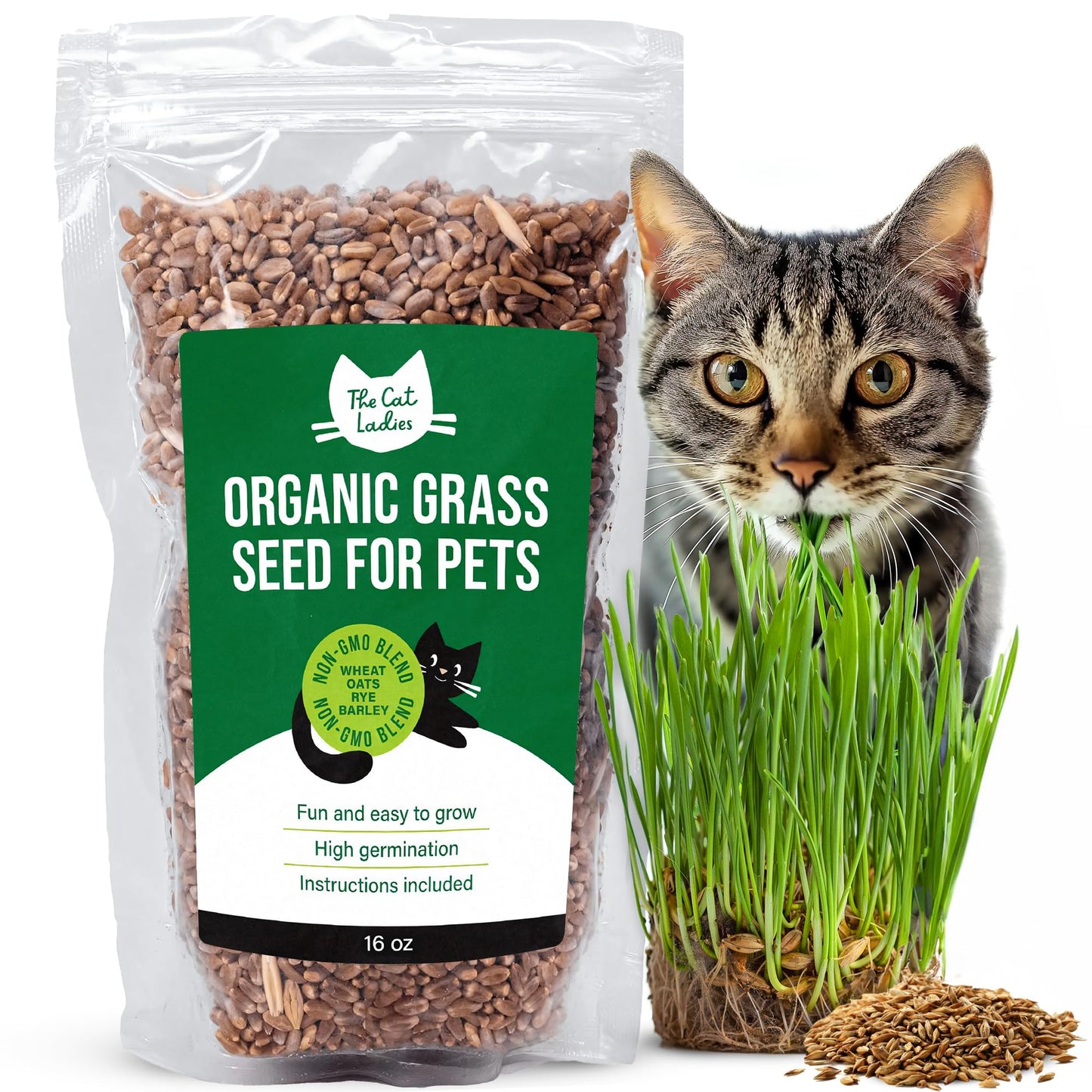 The Cat Ladies 100% Organic Cat Grass Seed (Non GMO) 16Ounce