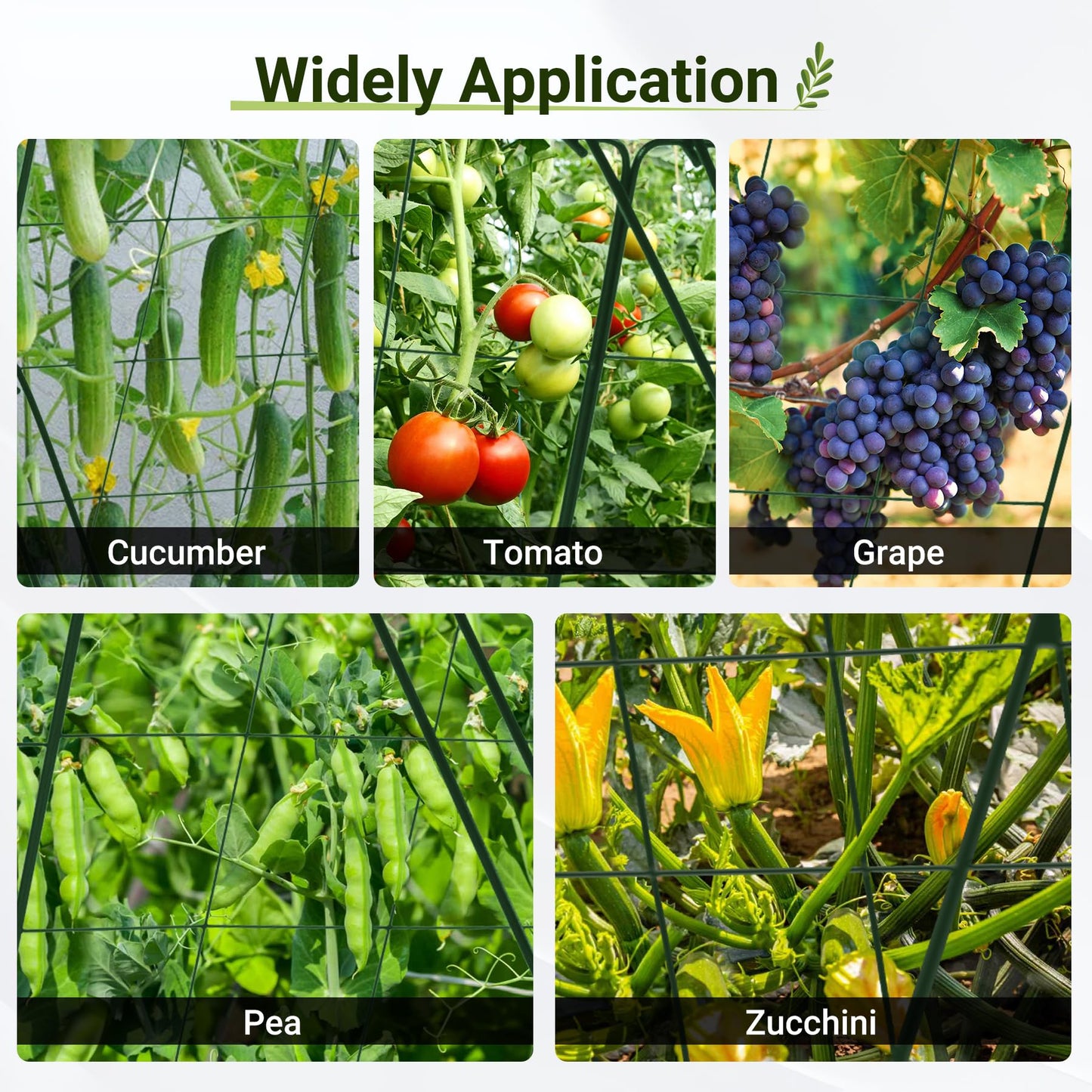 Toriexon Cucumber Trellis for Garden - 4 Pack, 48" L x 16" W Garden Trellis for Climbing Plants Outdoor with Support Structures, A Frame Trellis for Climbing Vegetables Peas, Vine, Bean