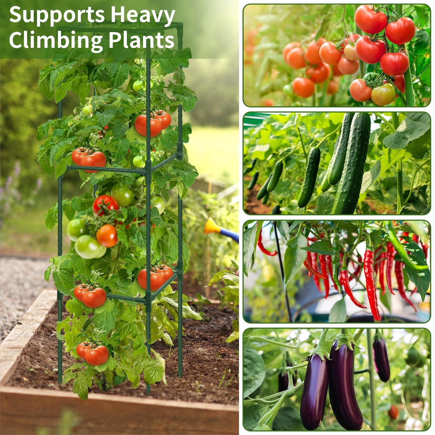 ROADPLUM 2 Pack 48" Tomato Cage for Garden, Heavy Duty Adjustable Plastic Coated Steel Pipe Tomato Stakes Trellis Plant Cages for Vegetable, Fruit, Flower, Rose Vine Climbing Plants