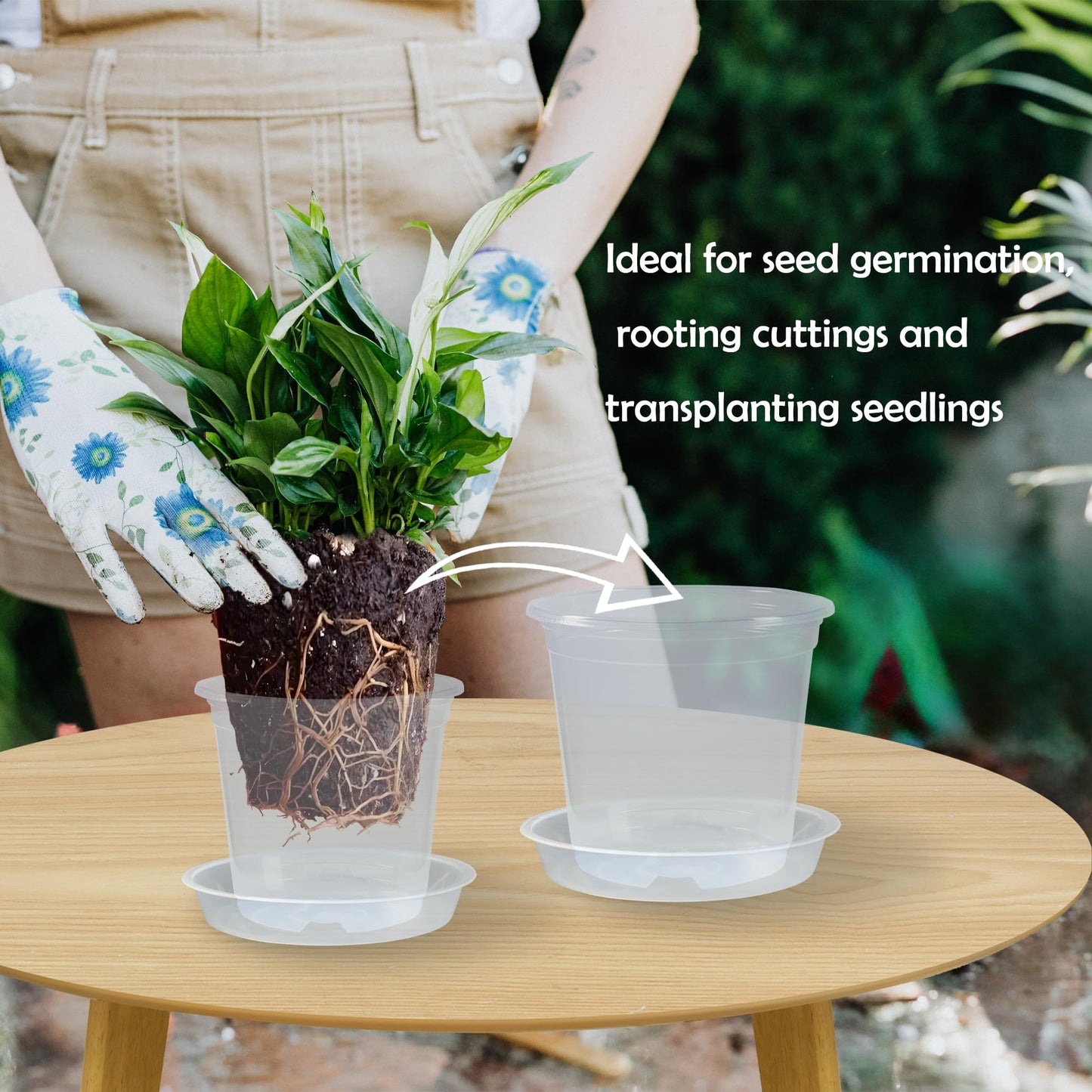 TNTIWQ 20 Pack 3 Inch Clear Nursery Pots with Drainage and 20 Pack Plant Saucers, Plant Pots for Plants Transparent Potting Containers for Plants Seeding Starter Pot (Clear, 3 Inch)