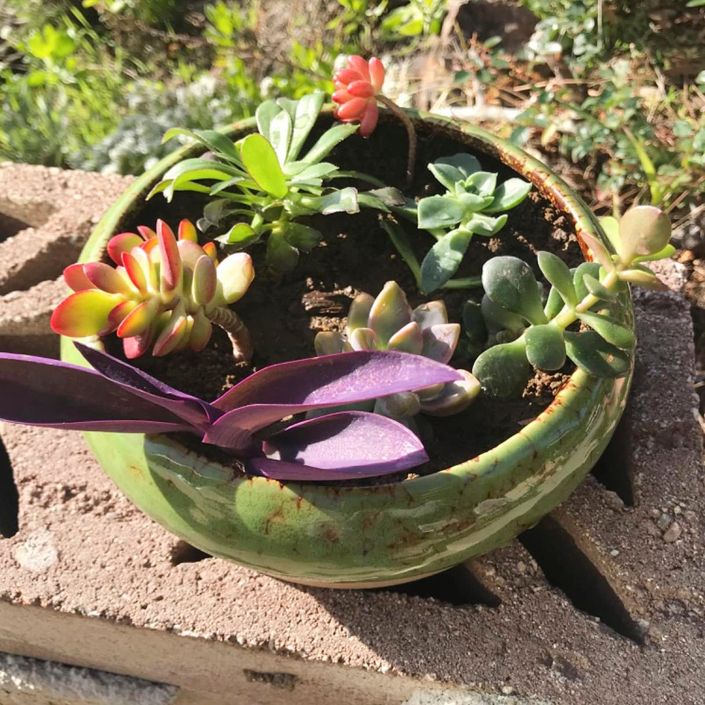 ARTKETTY Succulent Pots - 2 PCS Large Bonsai Pots with Drainage Tray, 7.3 Inch Shallow Planters for Indoor Plants Ceramic Cactus Plant Container Bowl for Home Office Desk