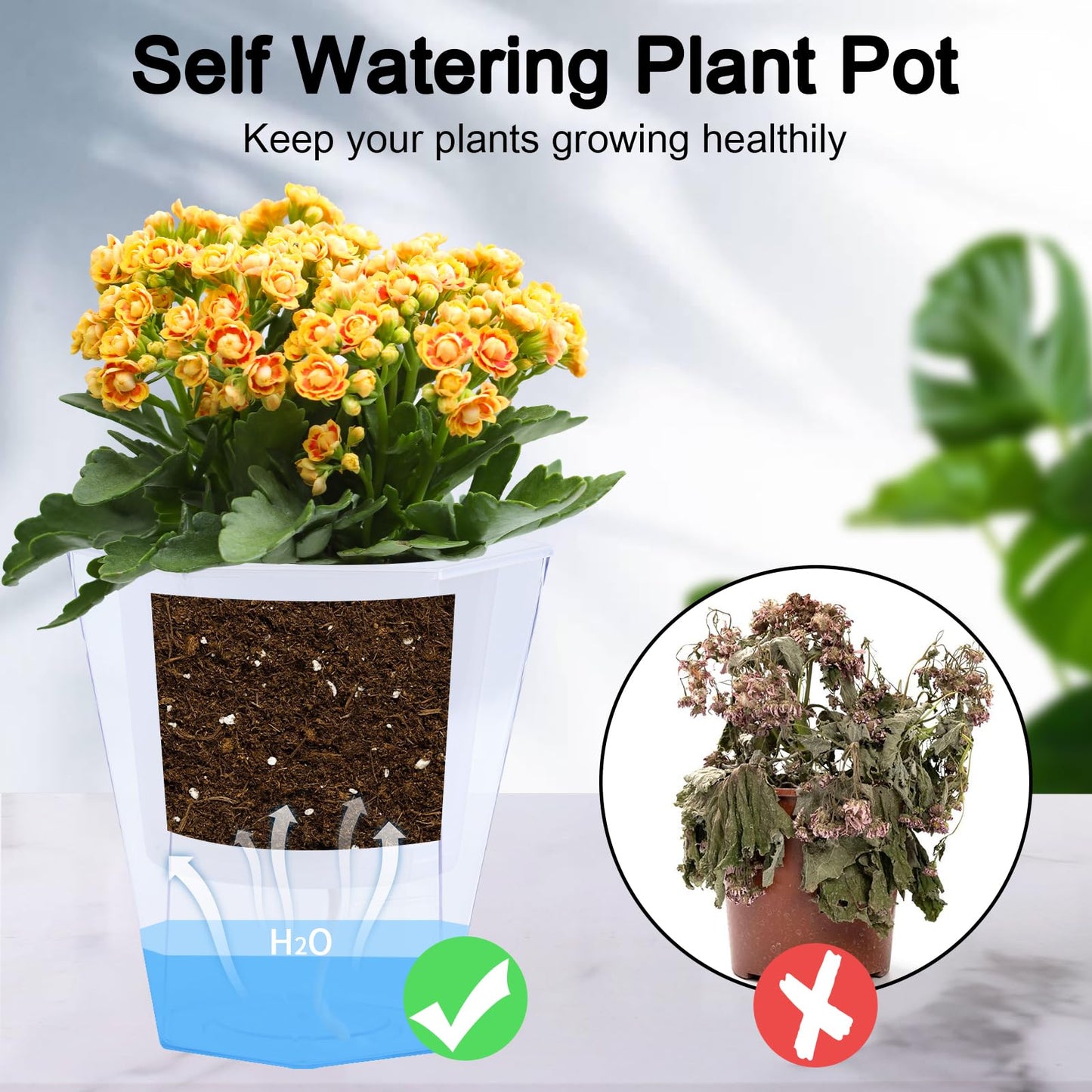 Oliz Self Watering Planter 5 Pcs, 4.5 Inch Flower Plant Pot with Transparent Inner Pot, Gardening Flowerpot with Watering Can, Indoor Self Watering Planter Pot for Herbs, Flowers (White)
