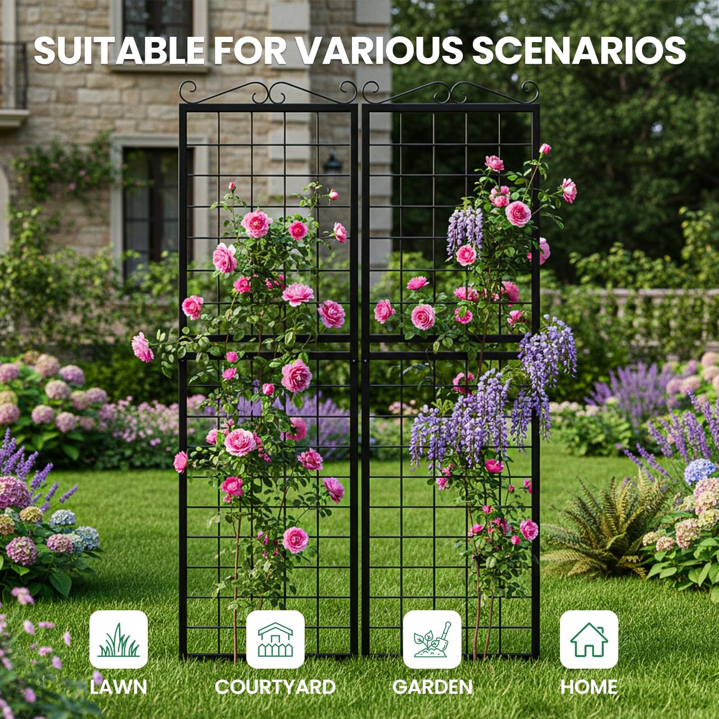 SUNYRISY 2Pack Metal Garden Trellis for Climbing Plants Outdoor, 71x20in Metal Plant Support for Flowers Tomato Cucumber Rose Vegetable Garden Courtyards Lawns Decoration, Black