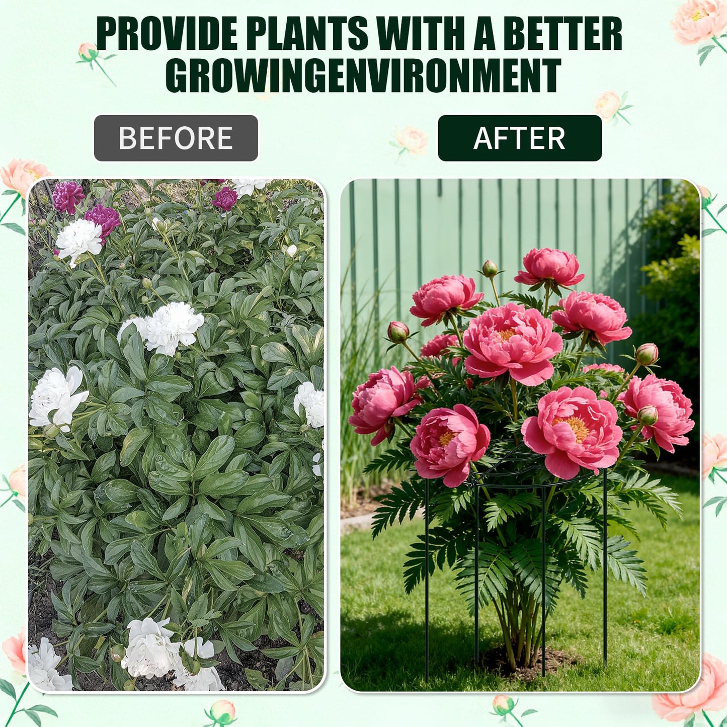 4 Pack Peony Cages and Supports, Grow Through Flower and Plant Supports, 13" Dia x 31.5" High Metal Peony Rings Hoops with Stake, Peony Support Cage for Dahlia, Rose Bush, Hydrangeas, Peonies, Tomato