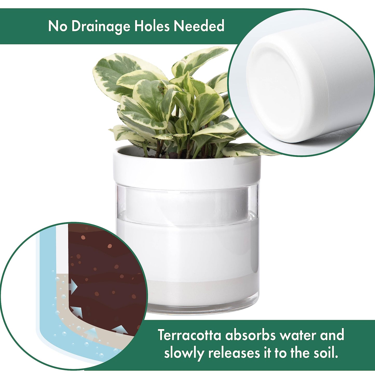 Phoenix Vine 6 Inch Self Watering Planter, White Terracotta Clay Pot with Glass Reservoir for Indoor Plants, Herbs, Flowers, Set of 2, 52-B-F-2