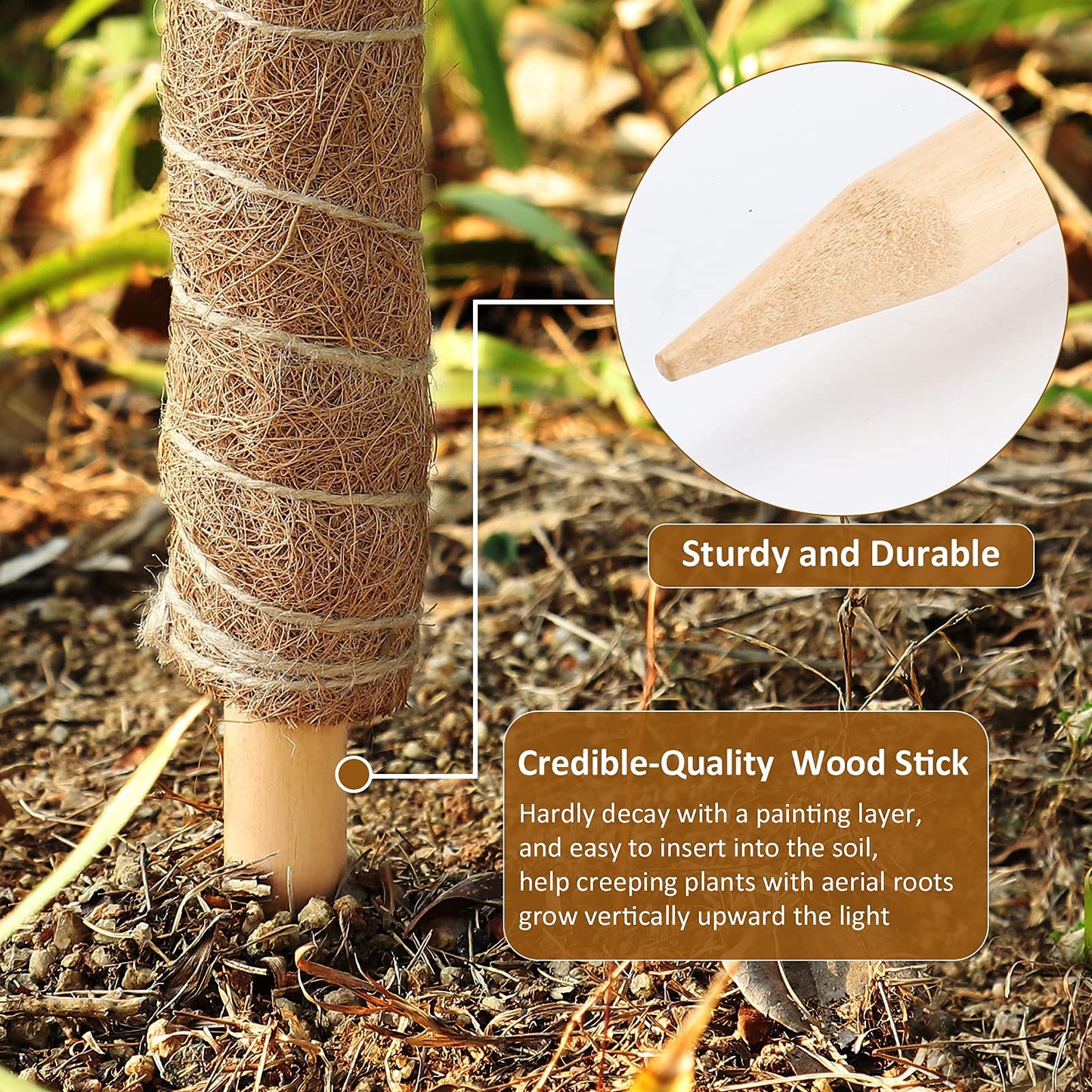 DACHUI 17 Inches Moss Poles for Climbing Plants, 2 Pcs Coco Coir Totem Pole-Support Indoor Plants to Grow Upwards