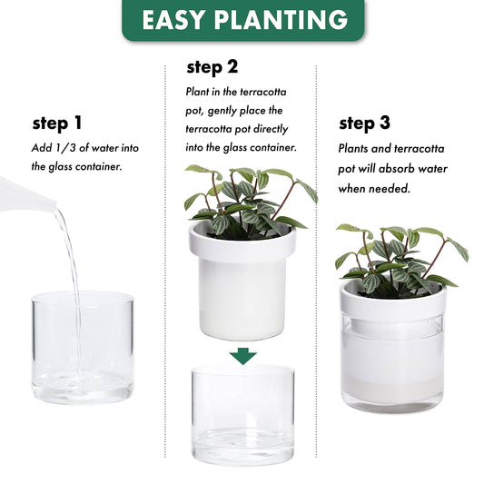 Phoenix Vine 6 Inch 4 Inch Self Watering Planter, White Terracotta Clay Pots with Glass Reservoir for Indoor Plants, Herbs, Flowers, 52-B-G-46