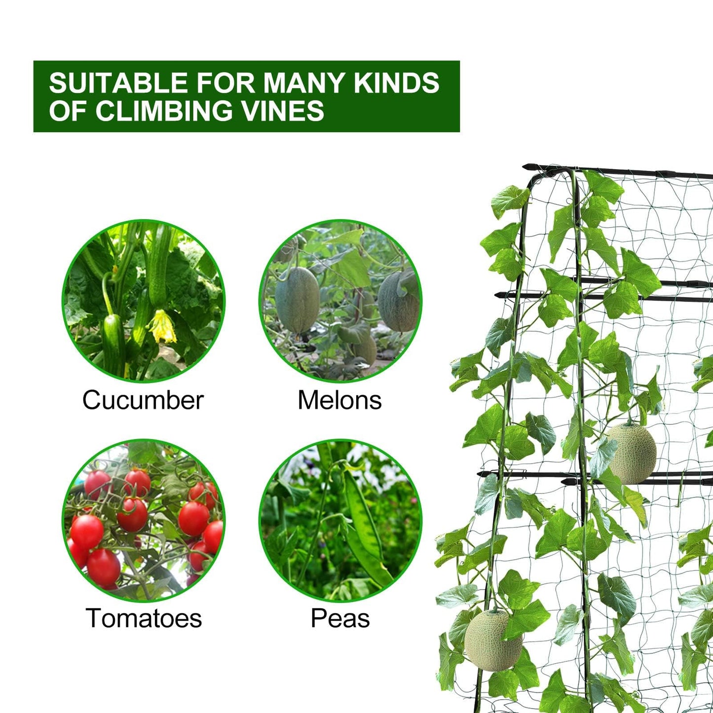 FOLLOOK Cucumber Trellis for Raised Bed, 5x5ft Metal Garden Trellis Climbing Plants Outdoor Tomato Plant Support Grape Vegetables Squash Bean Pea Cucumber Trellis, with Netting, Black