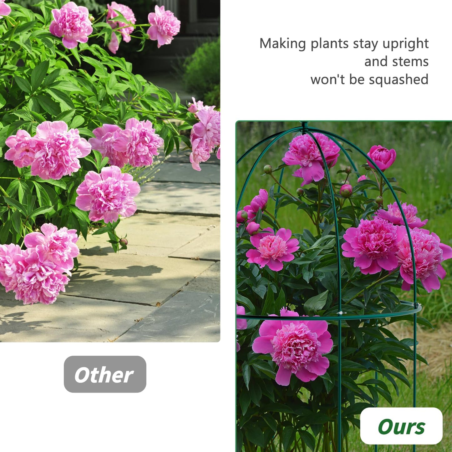 UrGROWA 3 Pack Metal Plant Cage Support, 31.5" H Peony Support Tomato Cage Garden Rose Obelisk Trellis Supports Tower for Clematis Vine Jasmine Supports Outdoor Indoor