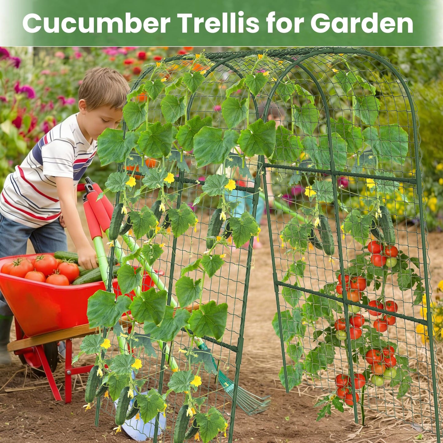 Cucumber Trellis, Metal Garden Arch Trellis for Raised Bed, 32 x 48inch U-Shape Garden Trellis for Climbing Plants Outdoor, Vegetables Fruit Plant Support with Netting, Gardening Supplies (Green)