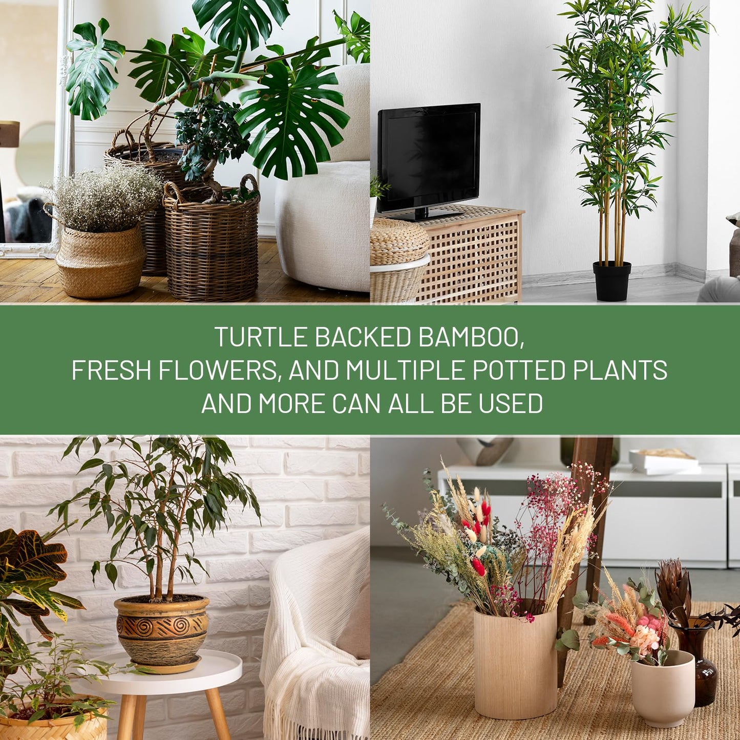 Yeomant 4PCS Iron Monstera Support, Uniquely Designed Plant Support Stakes for Indoor Plants, Stable Plant Stakes and Supports, Turtle Shell Bamboo Clamp Set for Thriving Growth