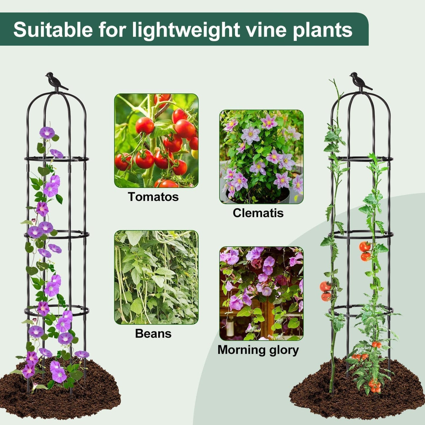 FOLLOOK Garden Obelisk Trellis for Climbing Plants Outdoor, Lightweight Climbing Plant Support Flower Roses Clematis Vegetable Light Vines Round Trellis for Raised Garden Bed Planter, Black, 1 Pack