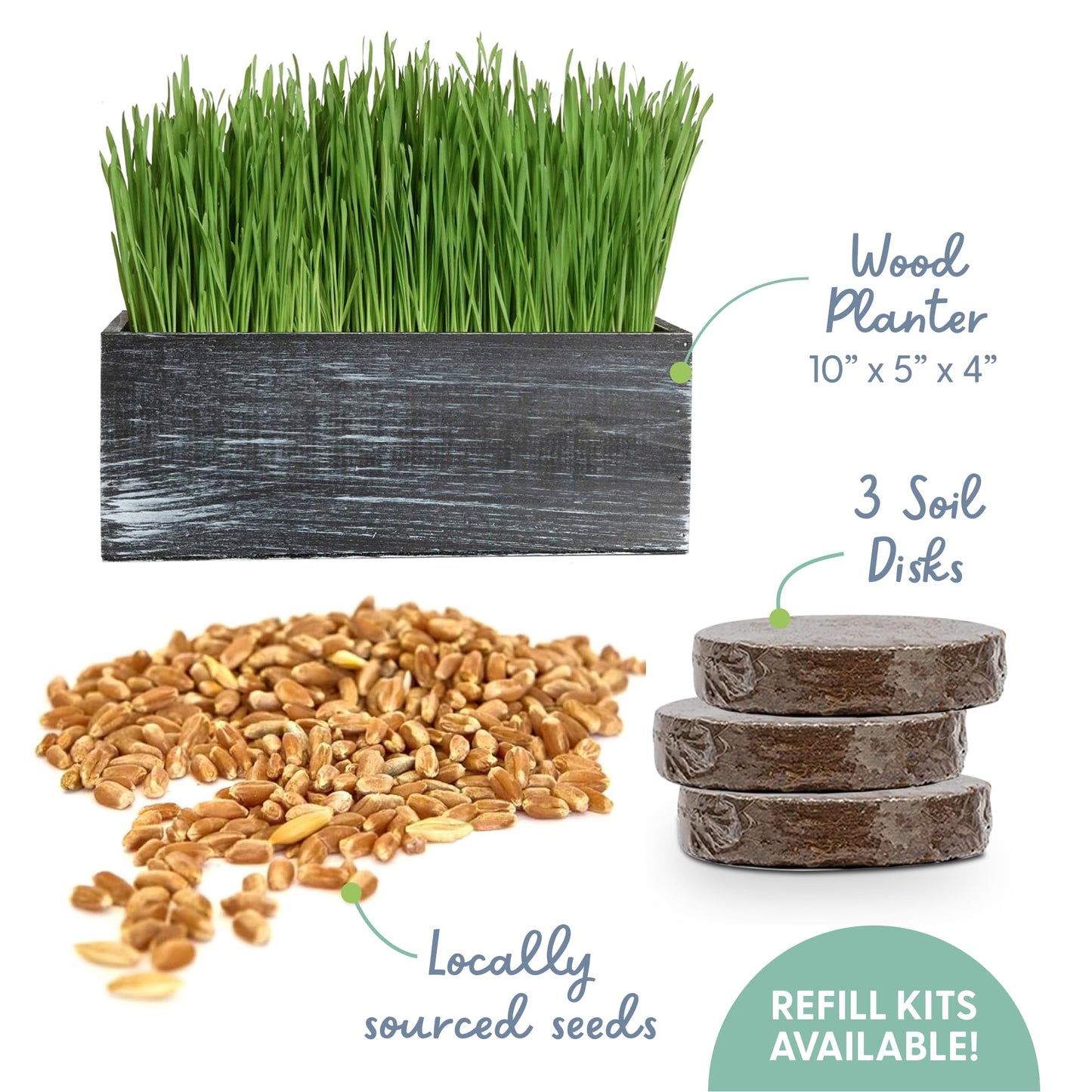 The Cat Ladies Cat Grass Kit with Black Rustic Wooden Planter, Organic Cat Grass Seeds and Soil. Easy to Grow Cat Grass for Indoor Cats. Prevent Hairballs and Aid Digestion