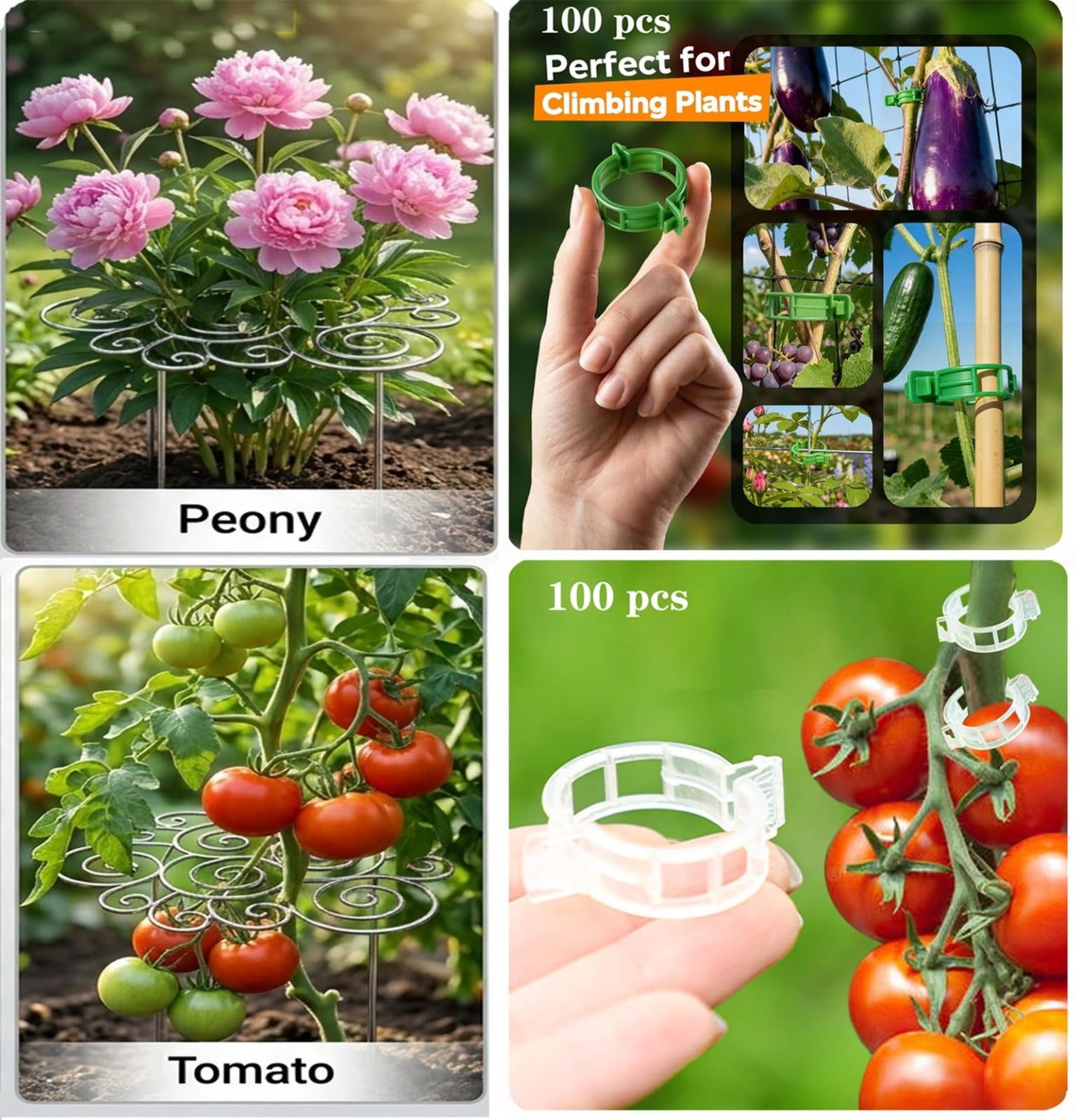 Frcychri Peonies Cages Supports, Heavy Duty Peony Plant Support Rings, Rustproof Silver Metal Grow Through Ring with 200PCS Plant Support Clips, Outdoor Indoor Pots Peony Gladiolus Tomato 1pcs,Medium