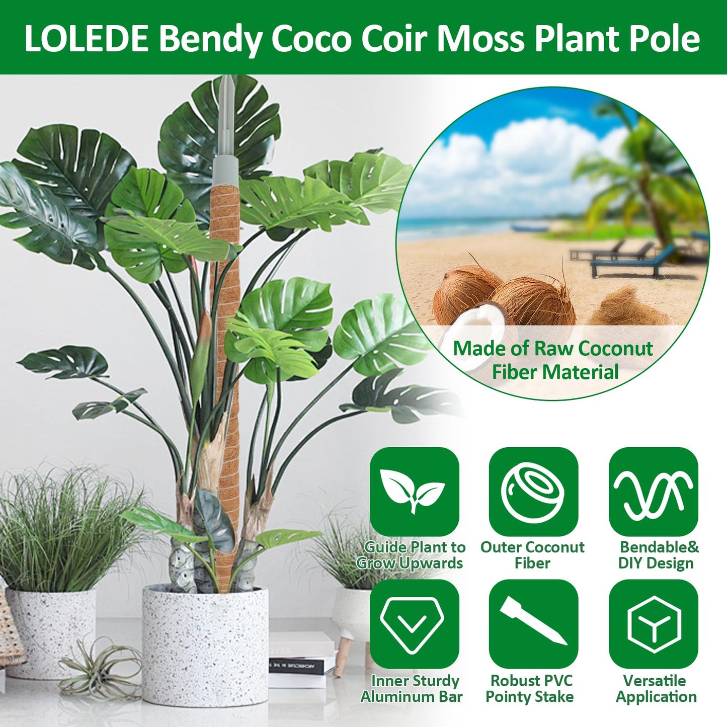 LOLEDE 2 Pack Moss Pole, 55 Inches Tall Bendable Coco Coir Poles Monstera Plant Support for Climbing Indoor Plants, DIY Plant Stakes Kit Support for Pothos, Philodendron,Potted Plants