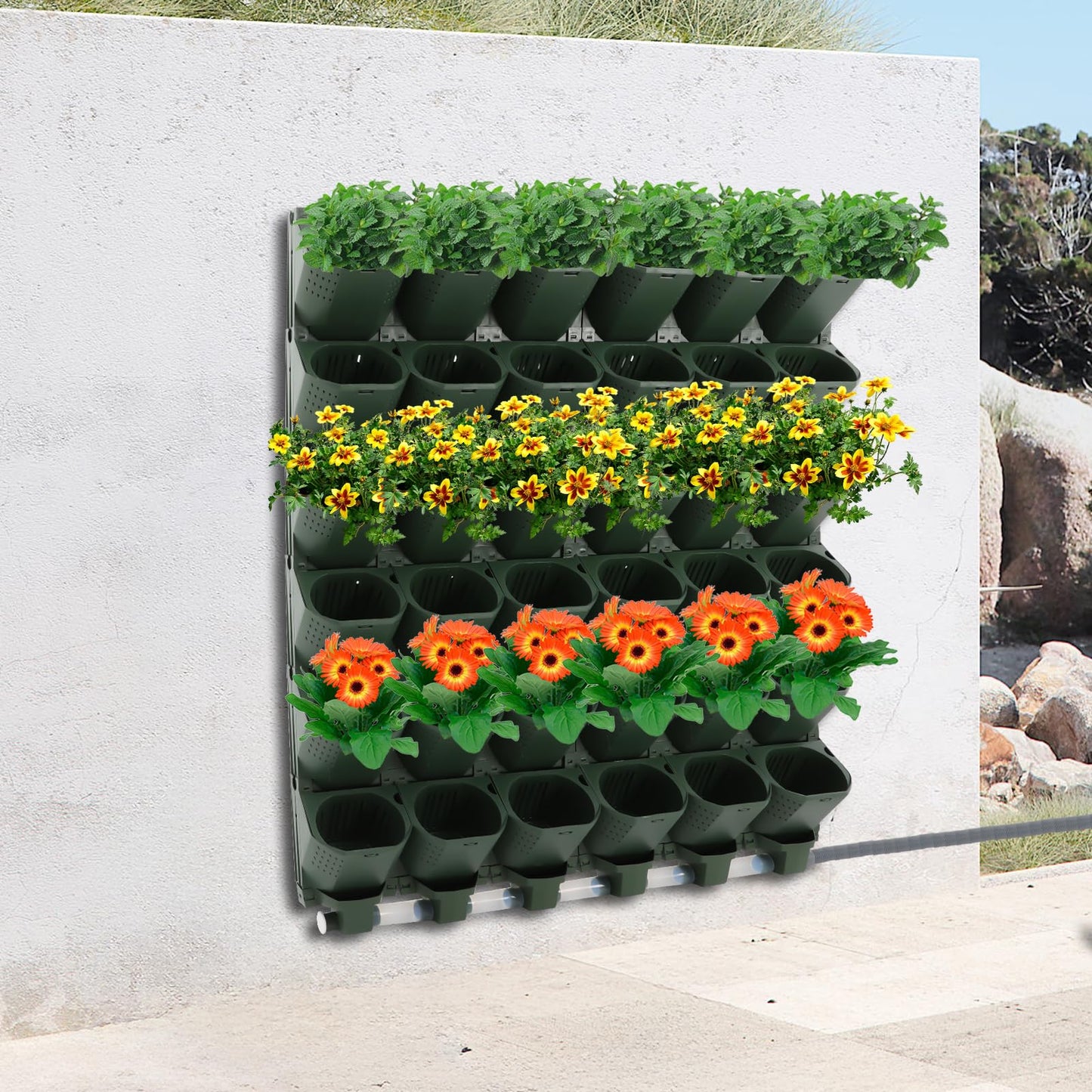 Liffshsy Wall Mounted Vertical Garden Planter, 6 Row 36 Planters Self Watering Garden Growing System with Timer, Indoor Outdoor Flower Pot Holder for Herbs Vegetables Fruits (Dark Green)