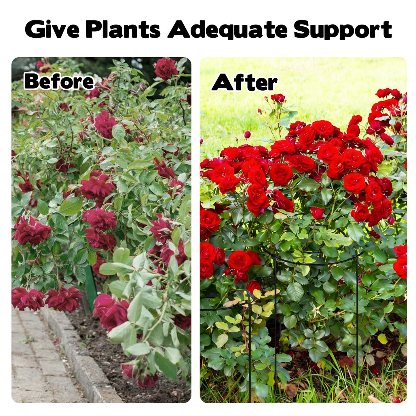 11.8" Dx31.5 H Peony Cages and Supports, 4 Pack Plant Supports for Outdoor Plants Grow Through Hoops Grids Heavy Duty Metal Peony Support Cage Flower Support Rings for Rose Tomato Hydrangea etc