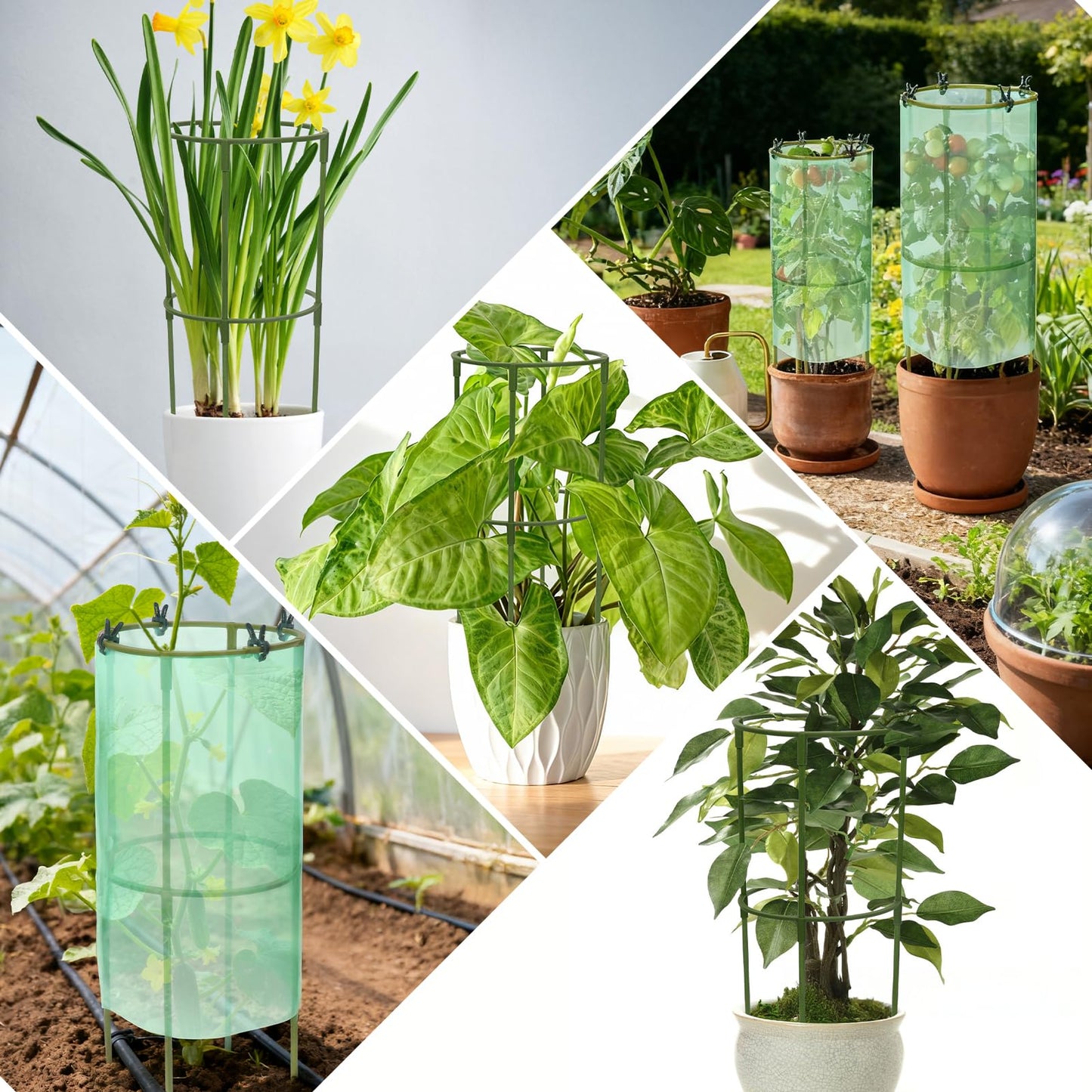 Ztzfacai 17.7" H Plant Support Stake Cage, Round Plant Support Garden Flower Stakes with Plastic Protective Film, Plant Cages for Indoor Outdoor Small Plants,Tomato, Peony, Hydrangea